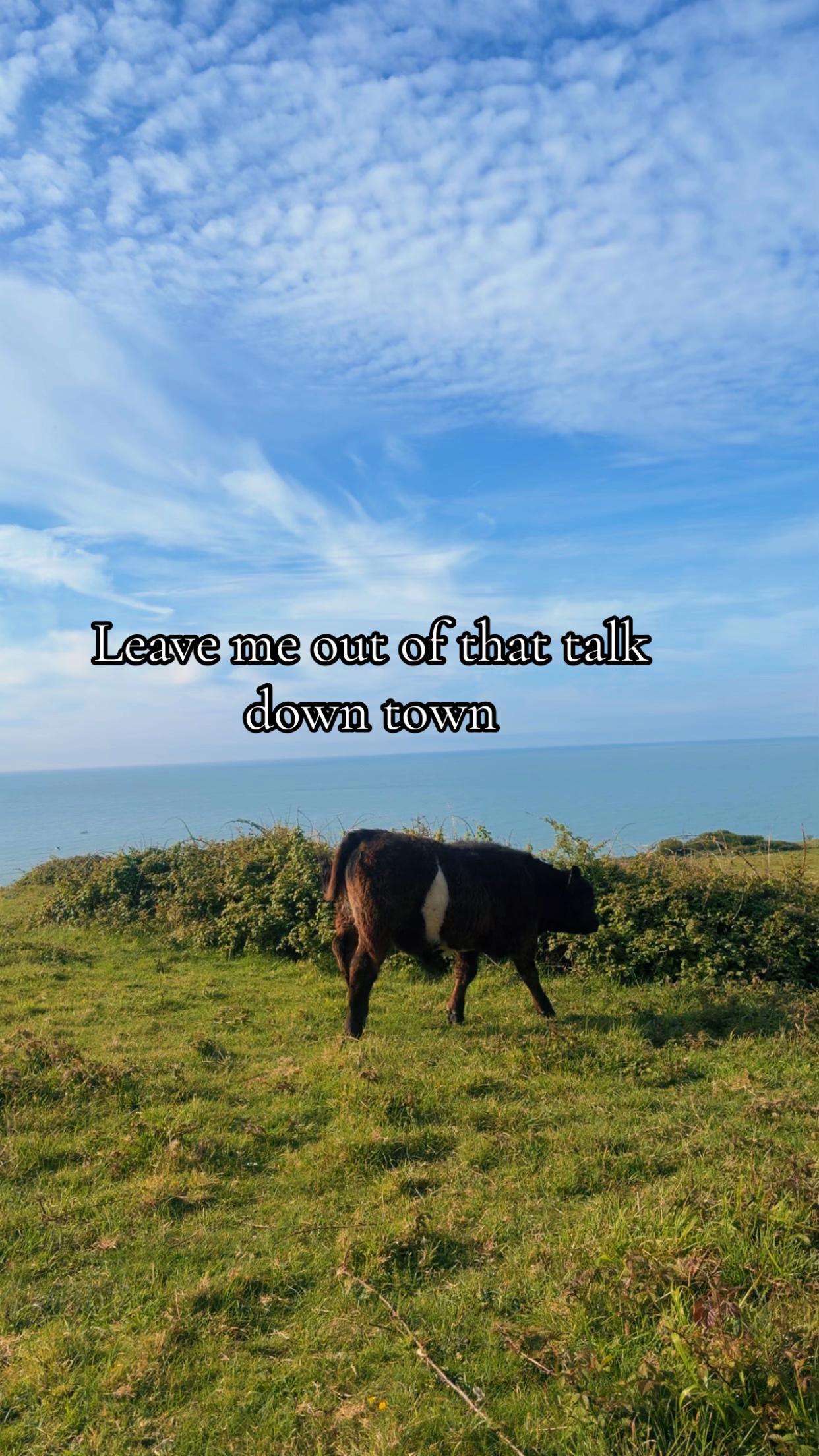 @Lily-Rae X
