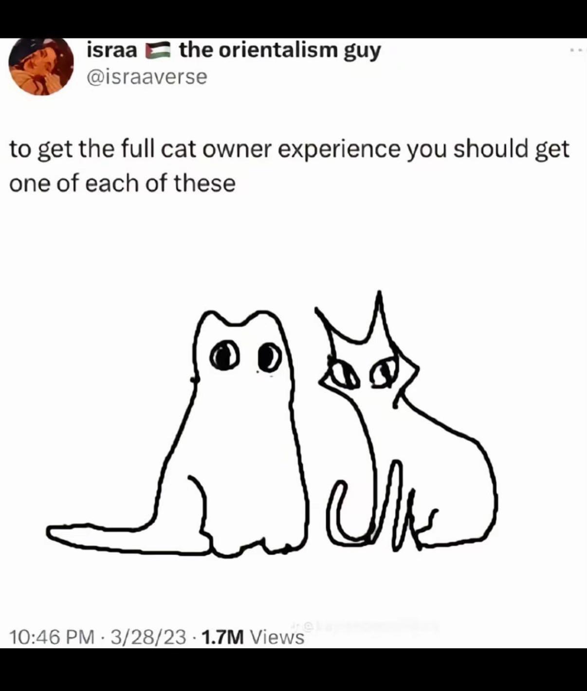 @𝖌𝖎𝖚𝖑𝖎𝖆