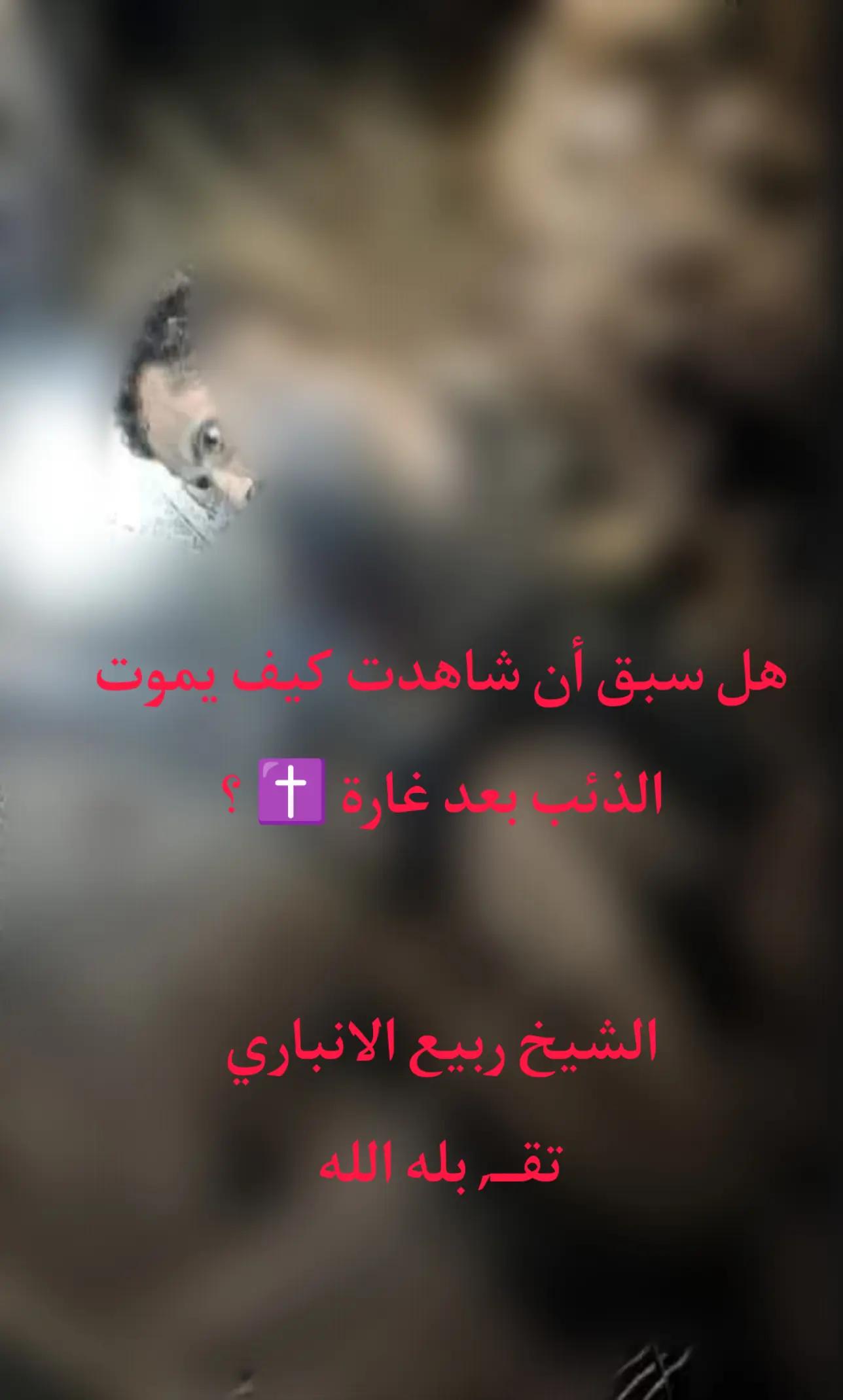 @الموحد القرشي 25