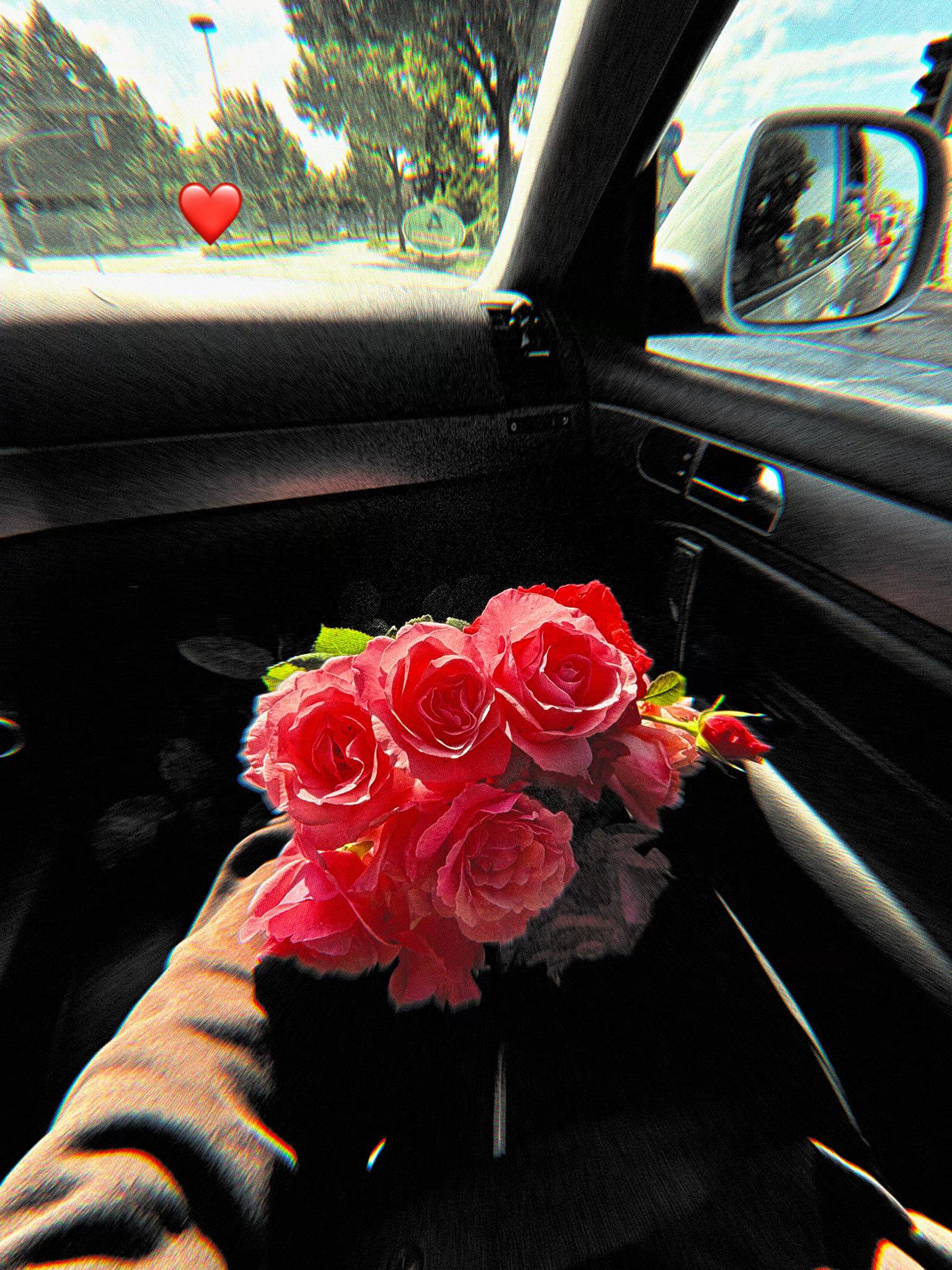 @Angelina❤️