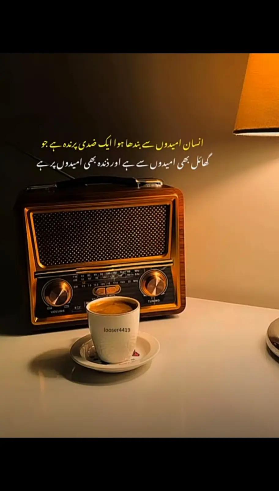 @shehz@diiiiiiiiii