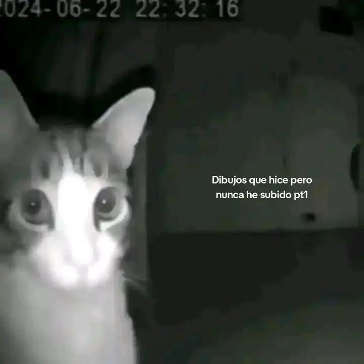 @Seven