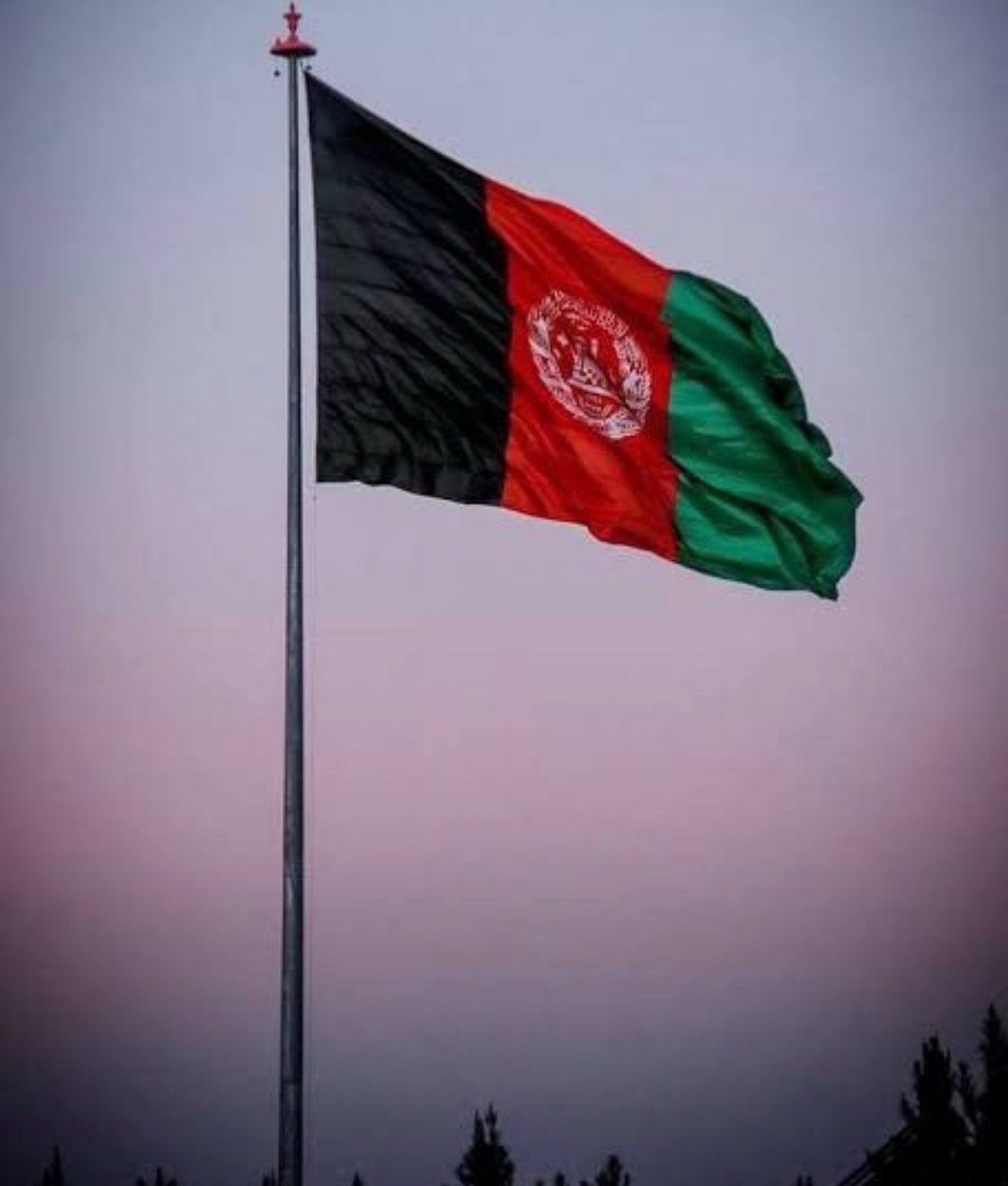 @Ayan Khan