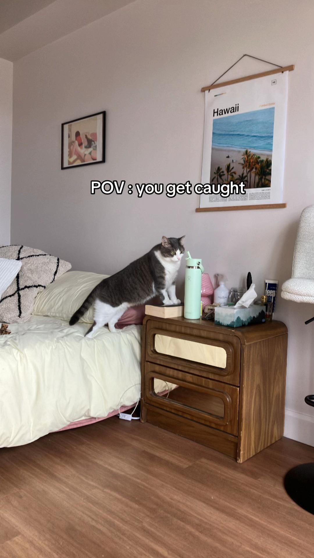 @emm