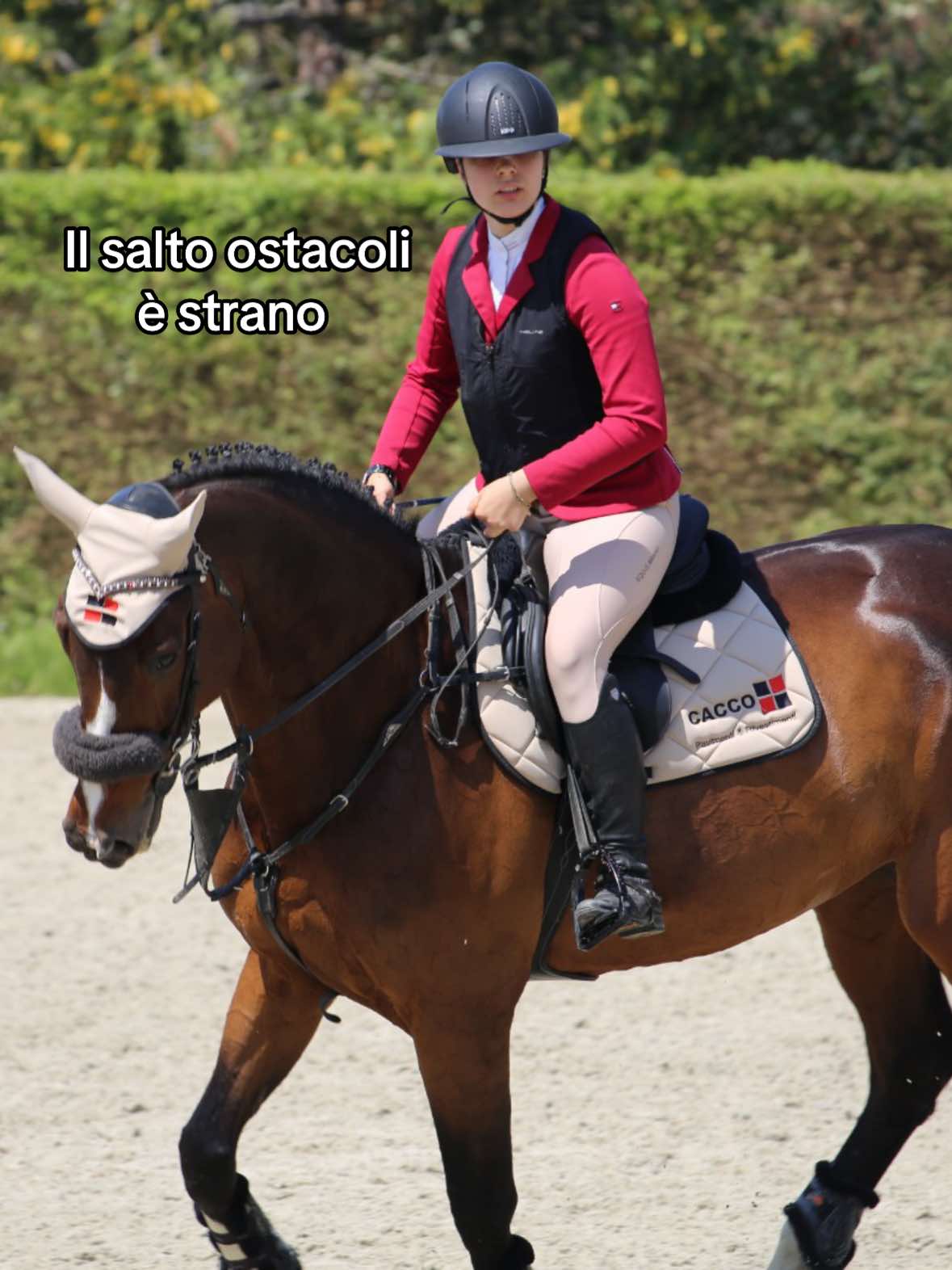 @camilla_deleonardis