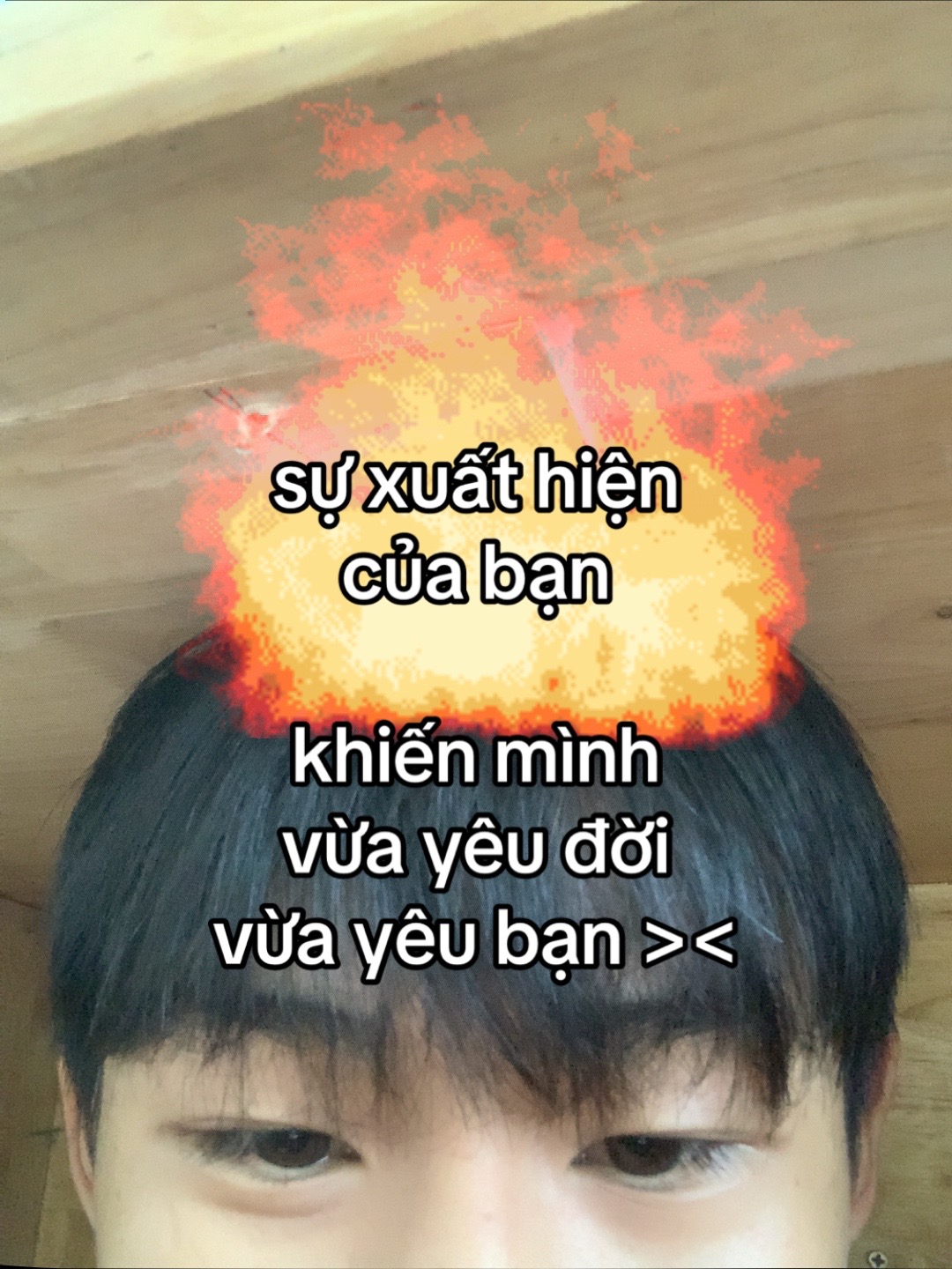@hoàng đạt