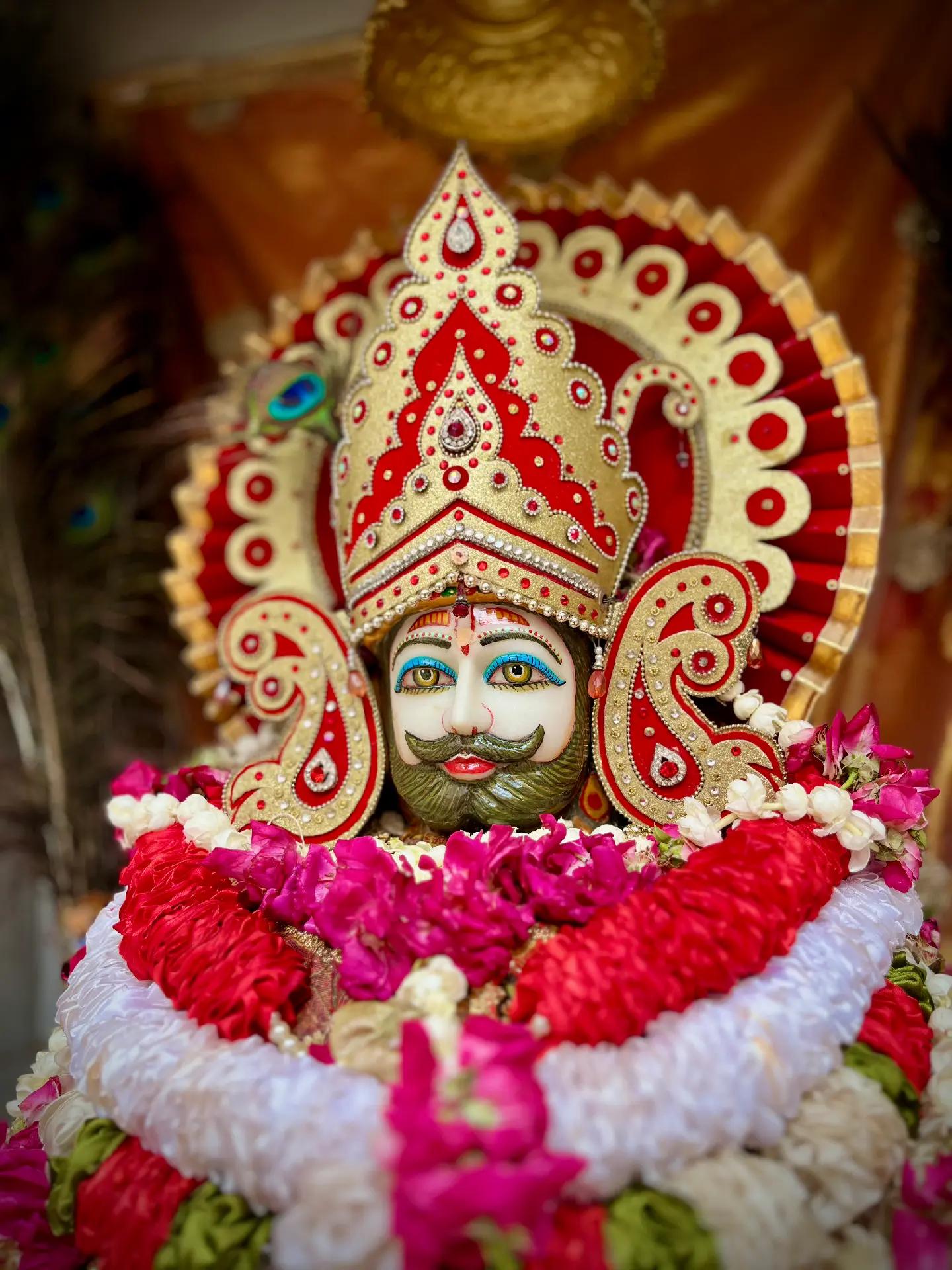 @shree shyam premi🫶🚩🕉️✨