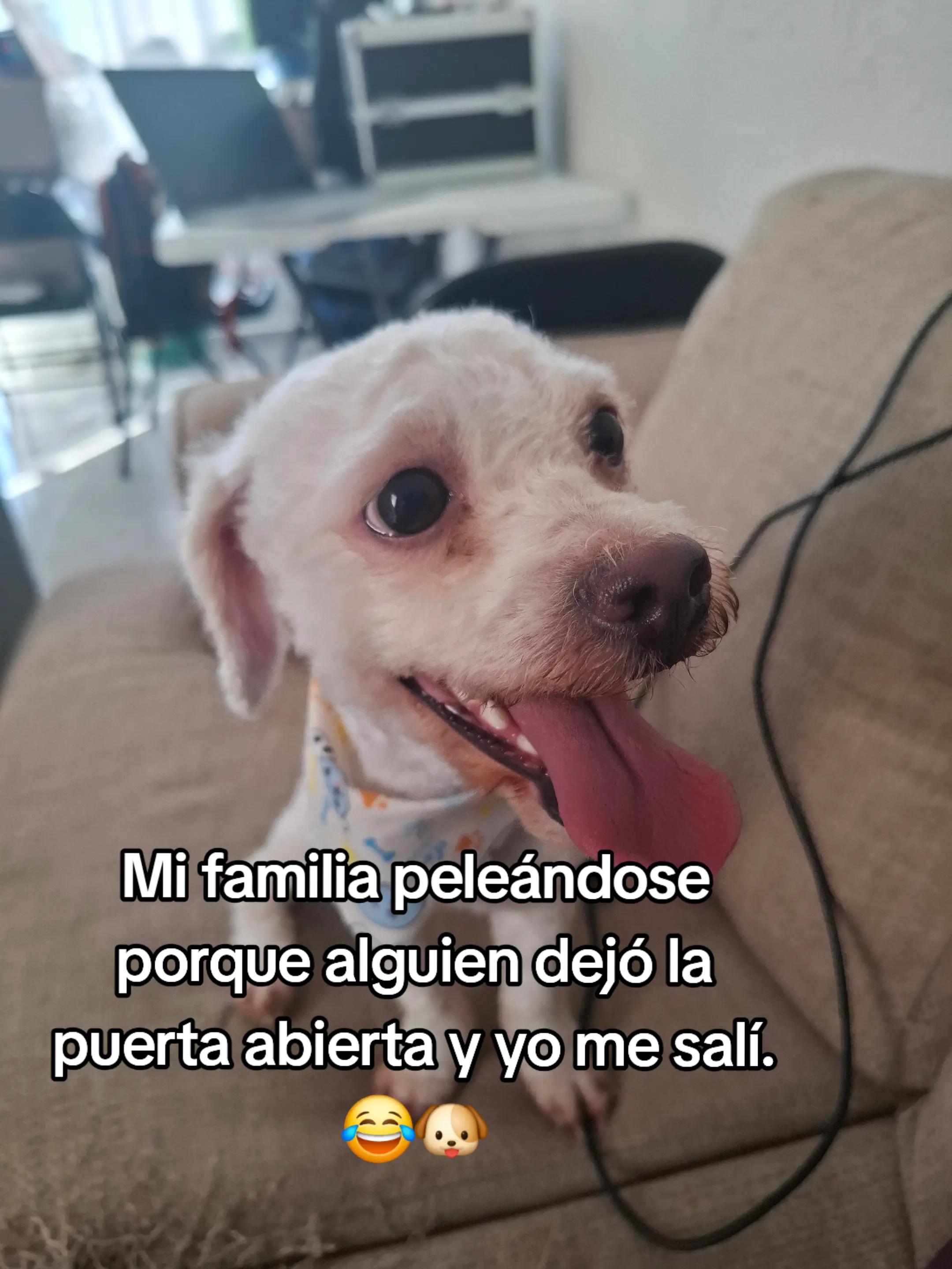 @Sarahi Huijara