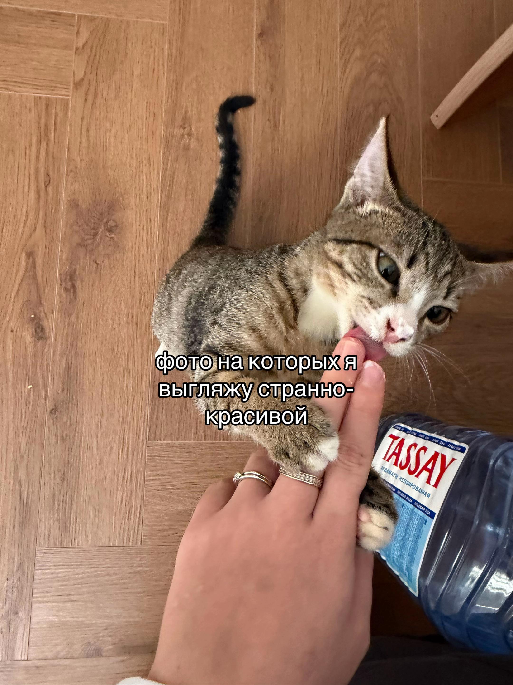 @Lunf1