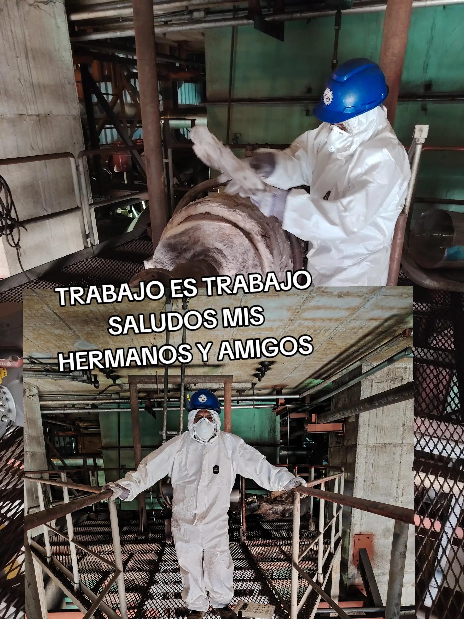 @Evercocyat