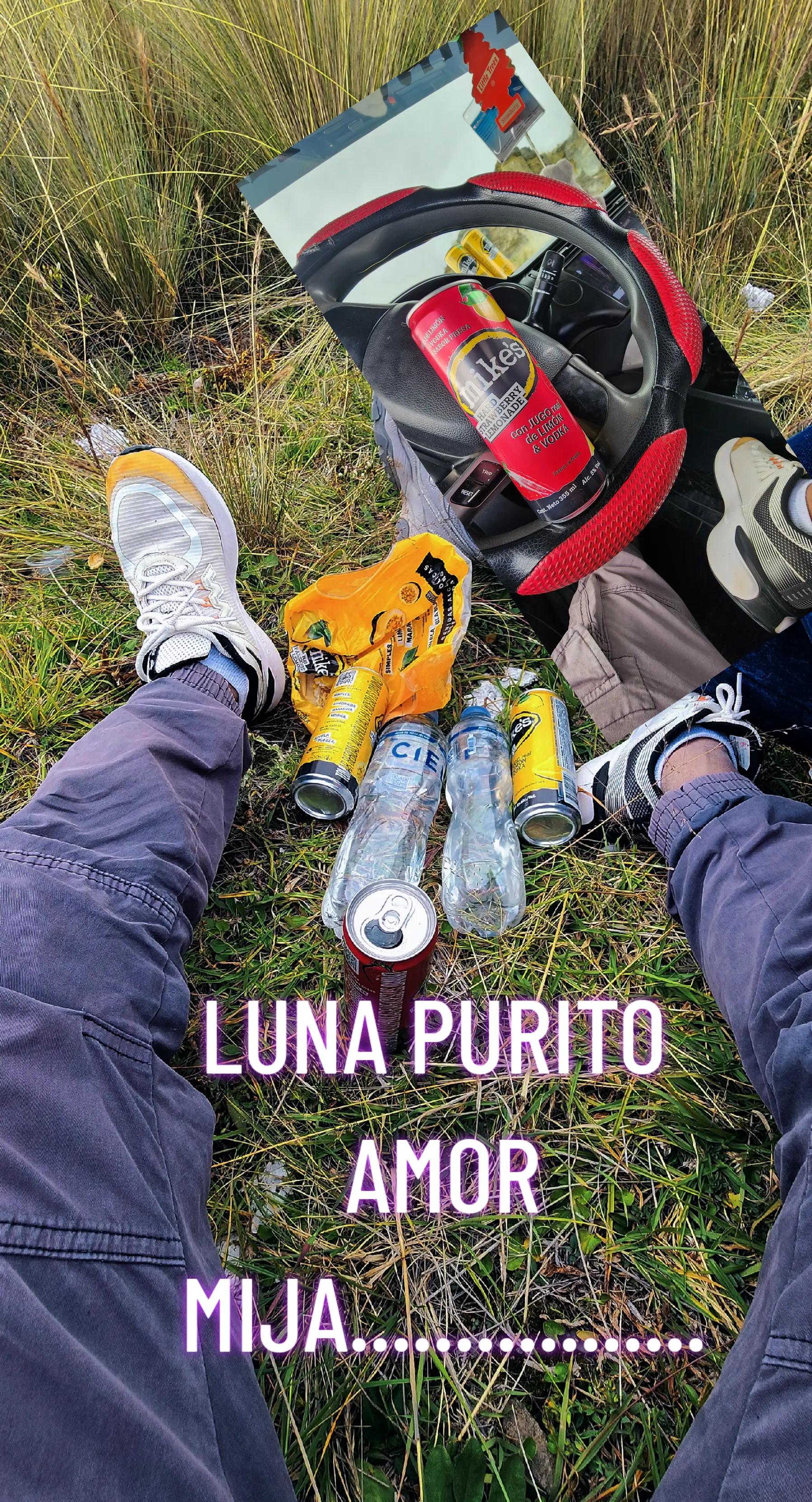 @david luna huamani