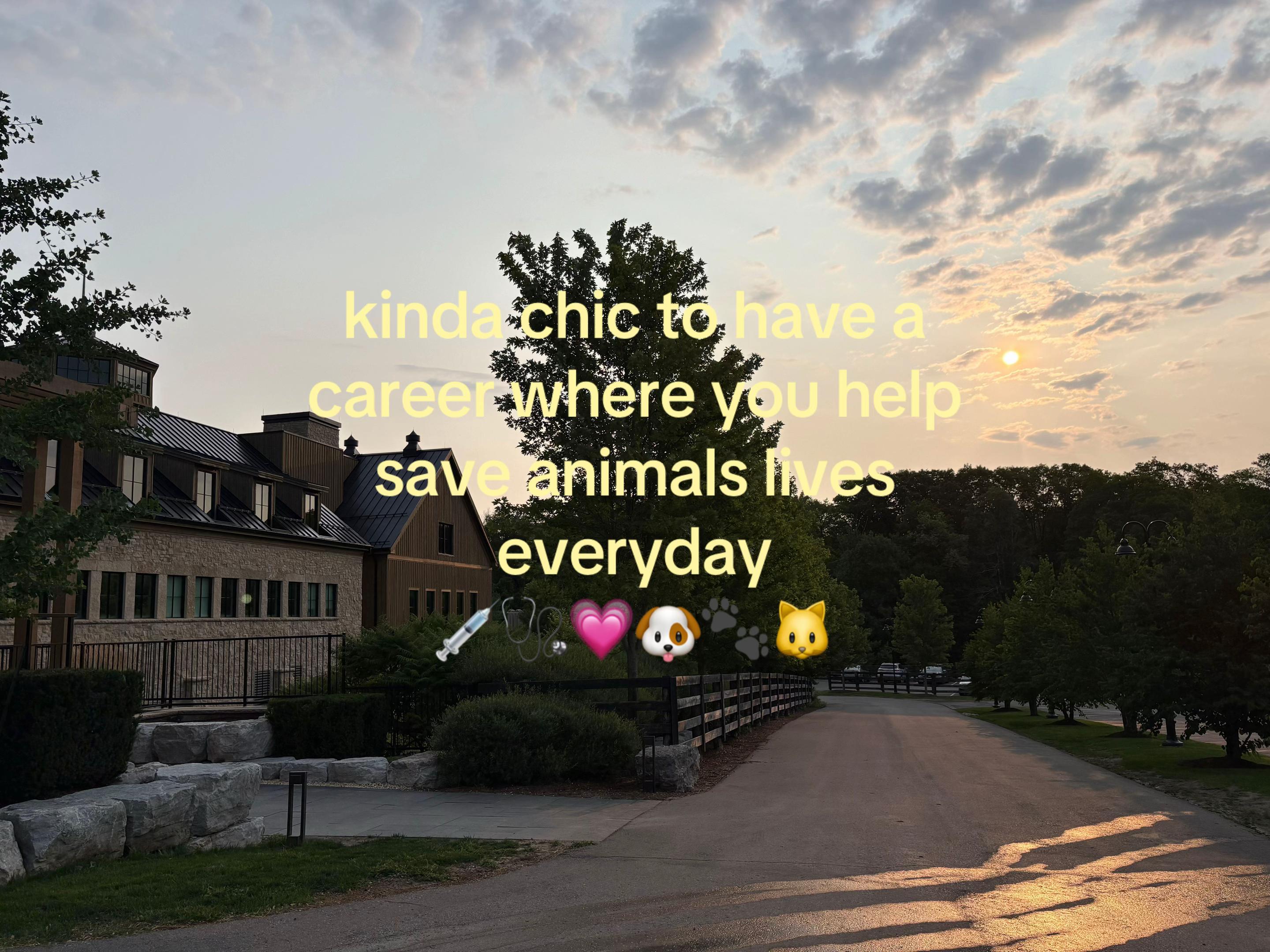 @TOSHA 🤍🐾