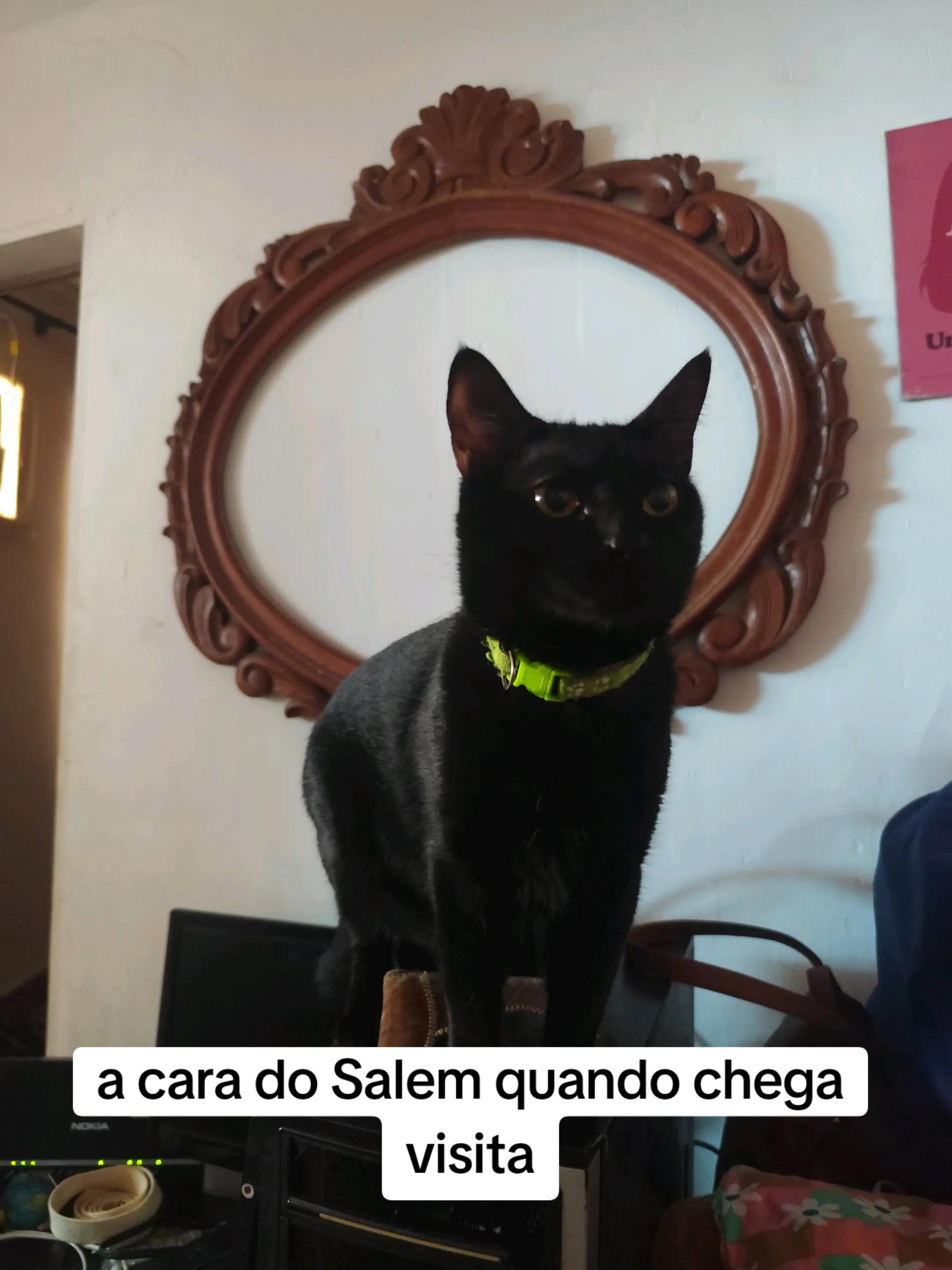 @MilaCardoso