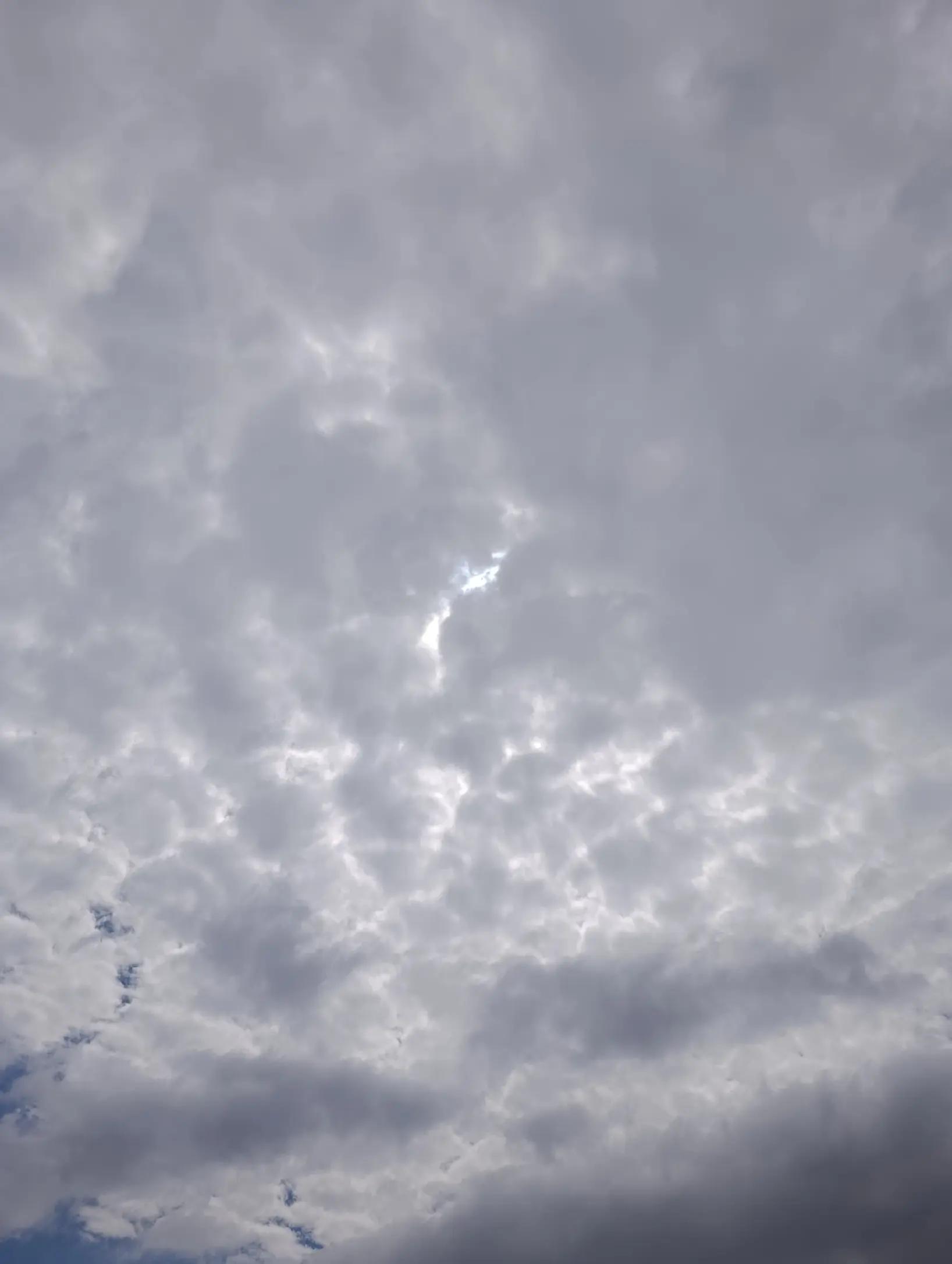 @İlayda Adnan Canavar