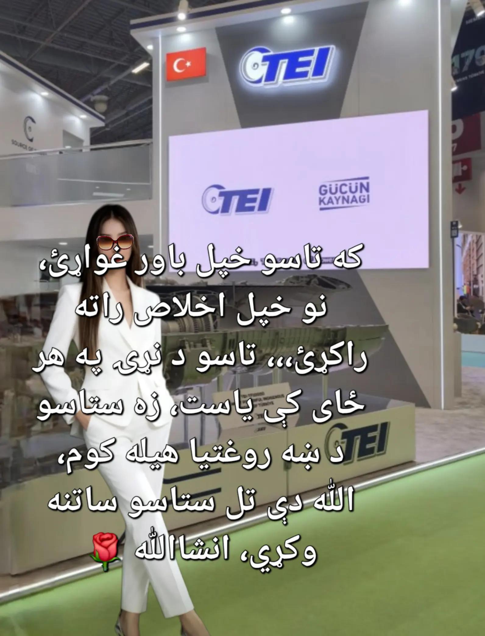 @Rodica Faisal