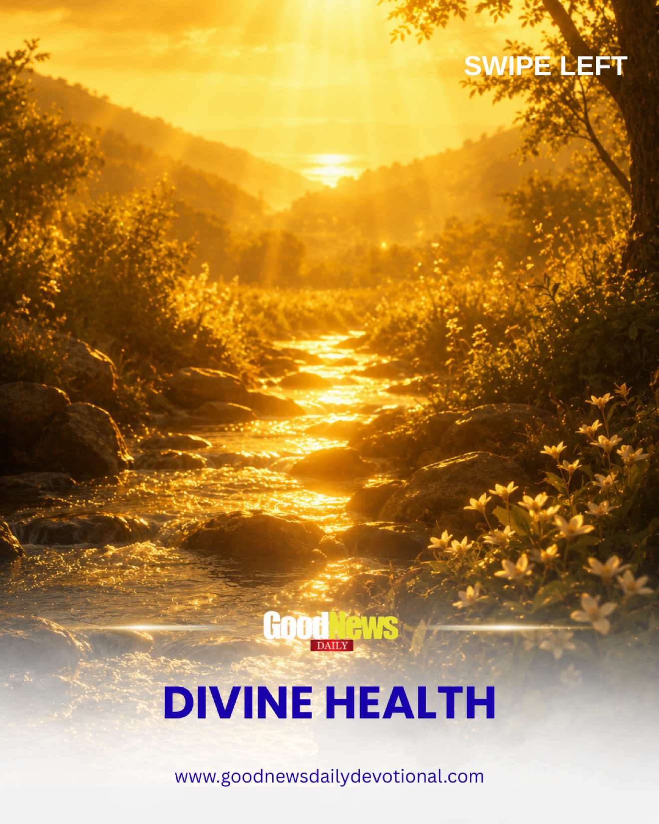 @GoodNews Daily Devotional