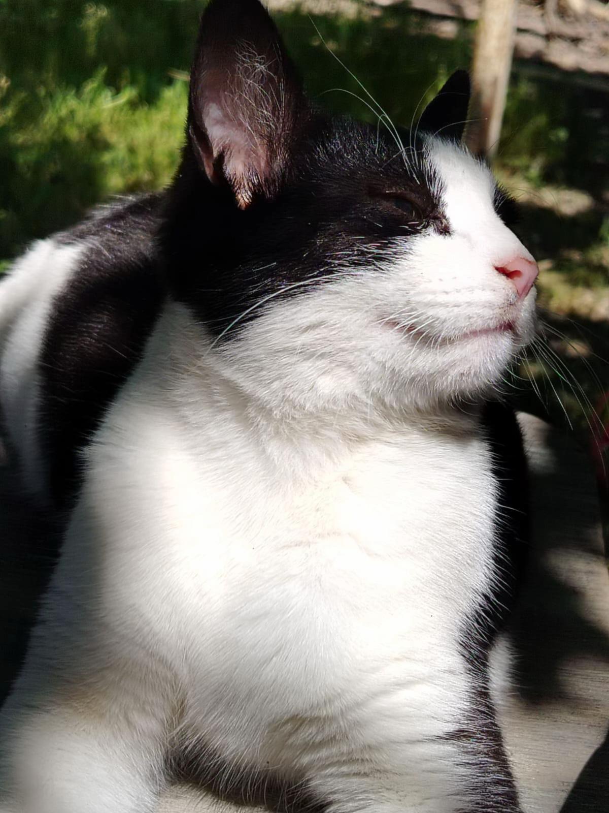 @☀️🌙