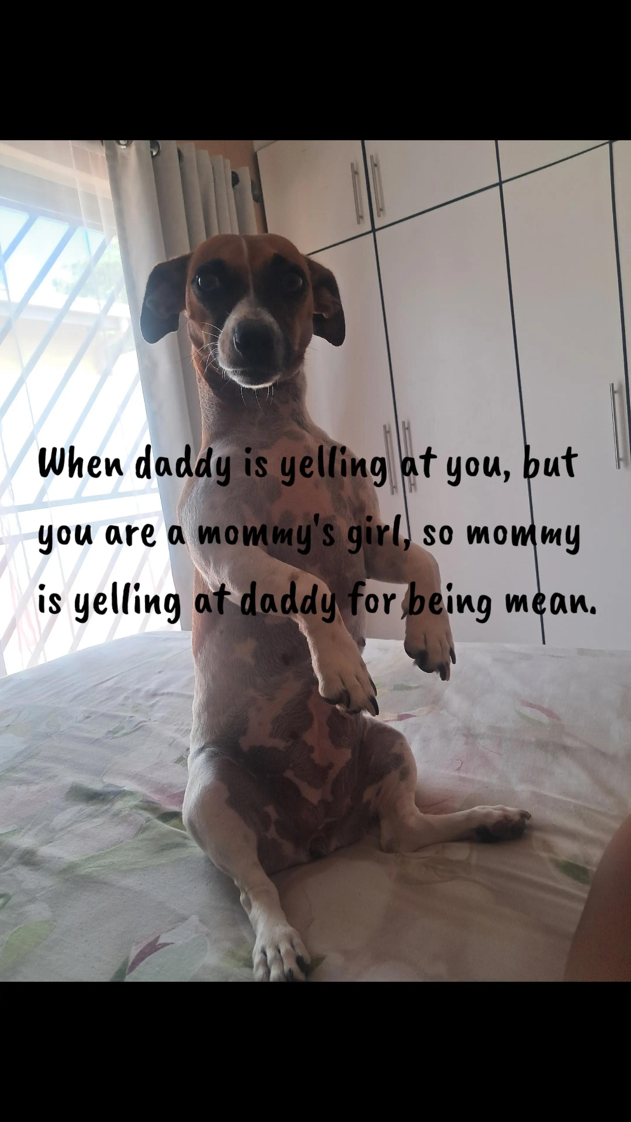 @C𝒐𝒆𝒕𝒛𝒆𝒆C𝒍𝒂𝒏 🇳🇦