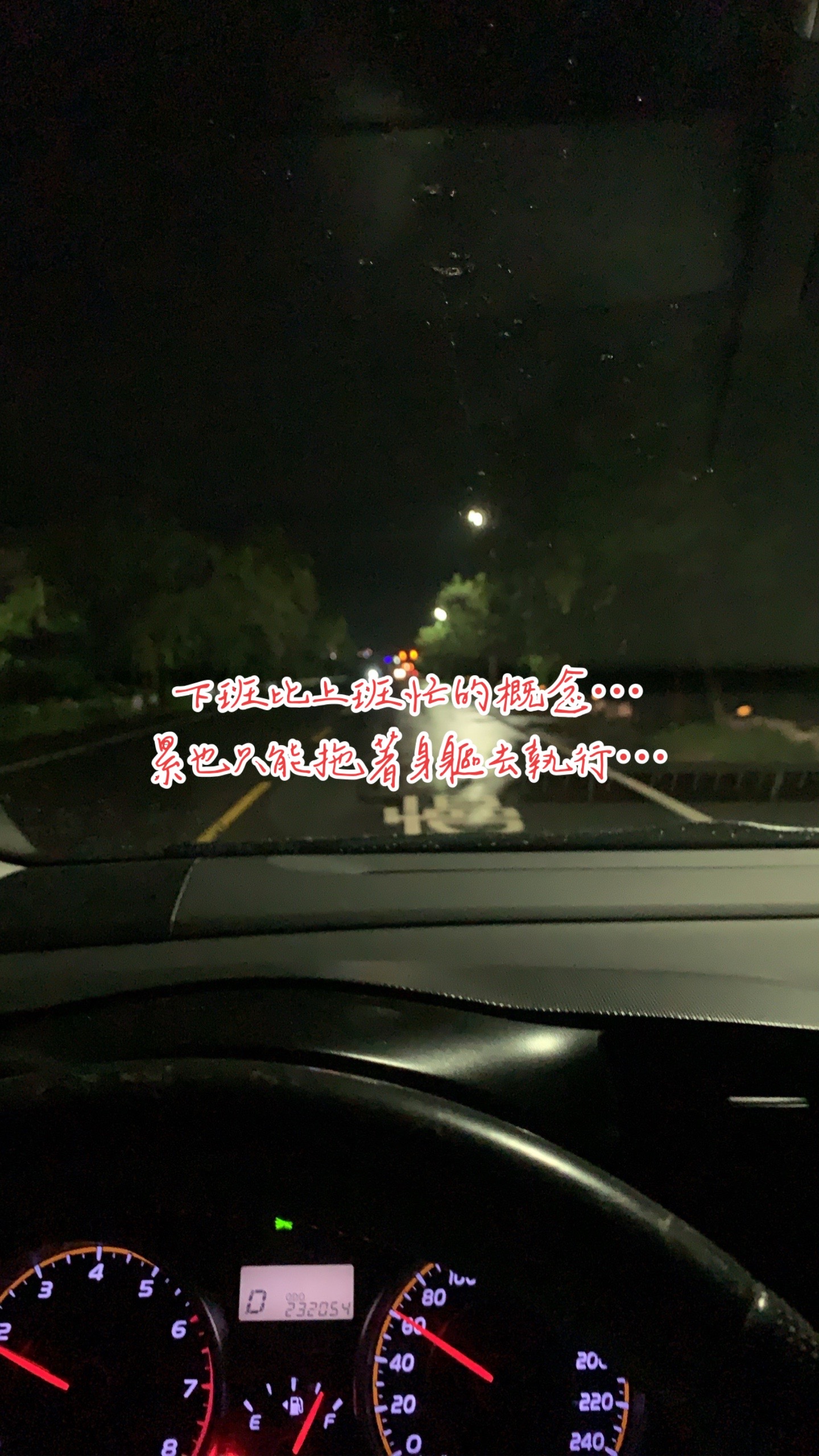 @抖陣聯盟/741殺豬🐻