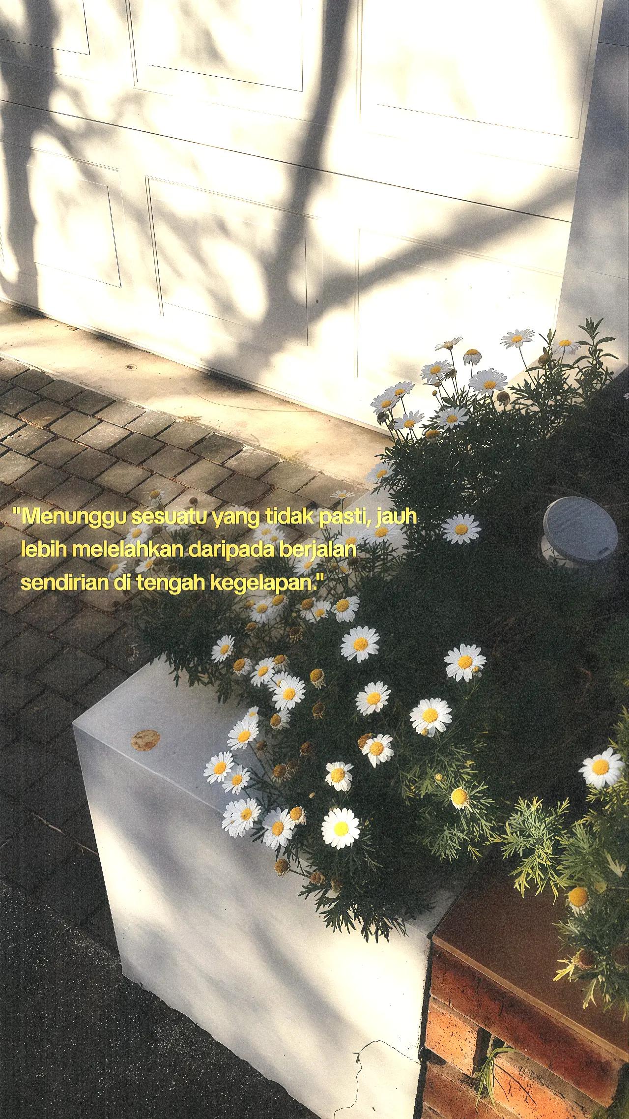 @𝘅𝘆𝗿𝗲𝗻𝗻