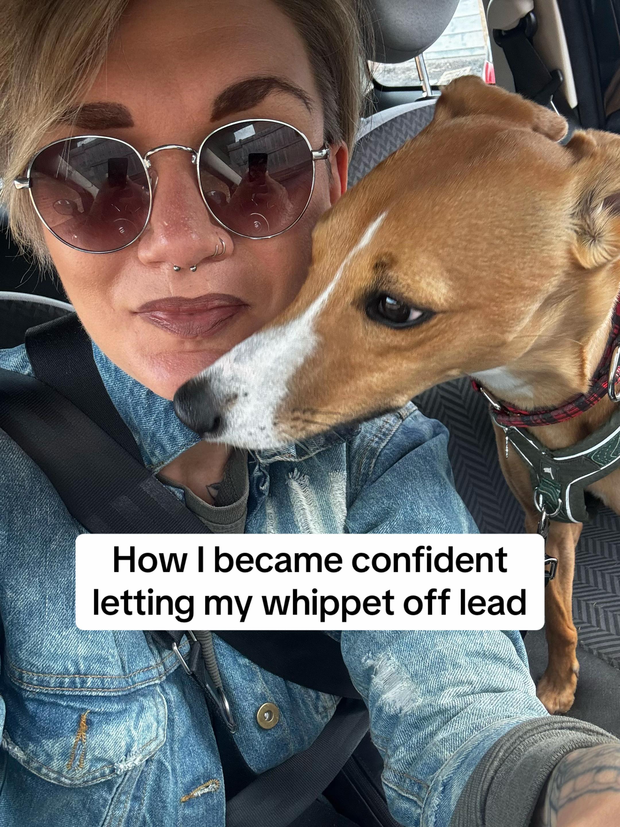 @Sam and her whippet