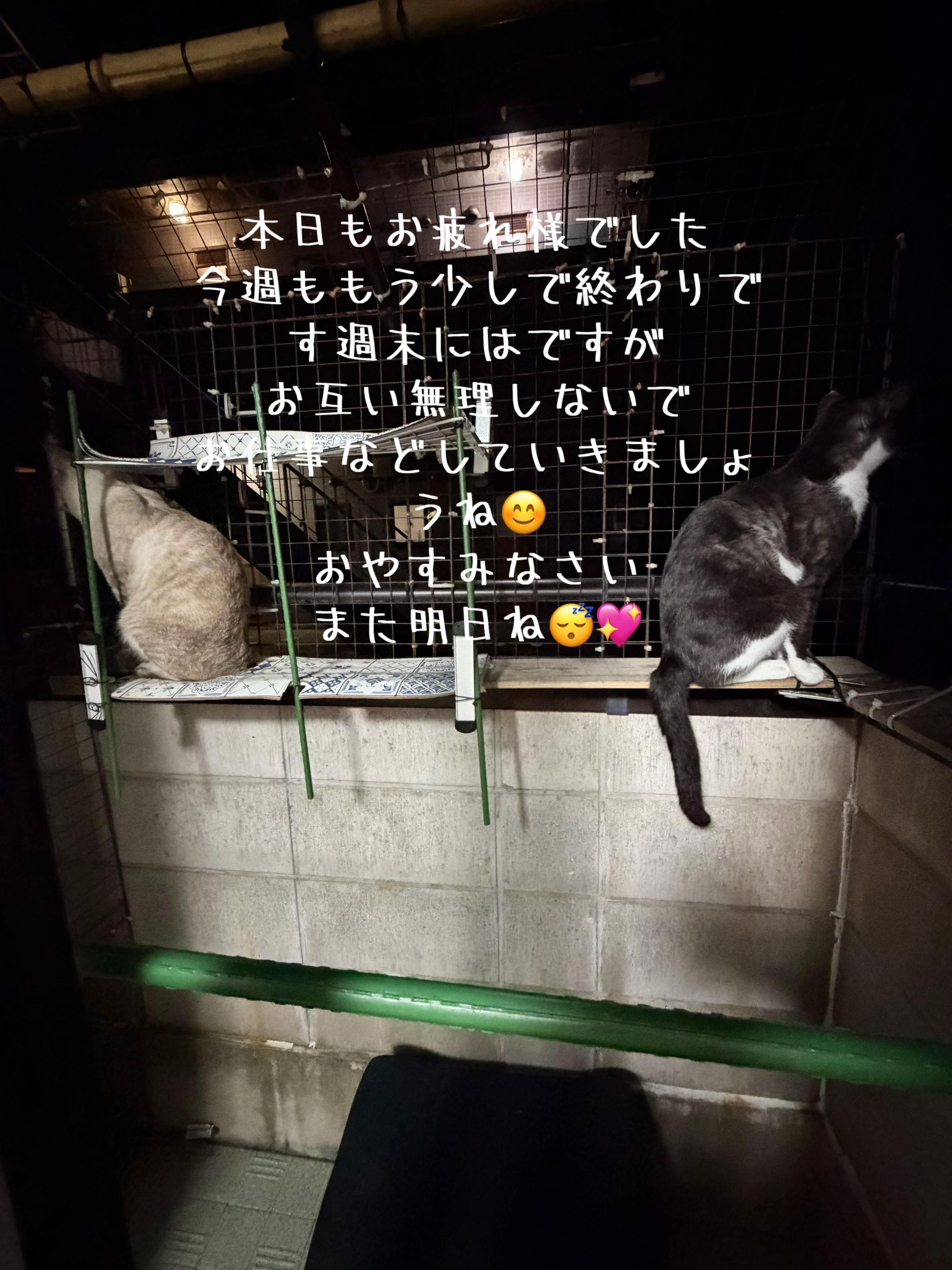 @🥀黒澤正志🥀