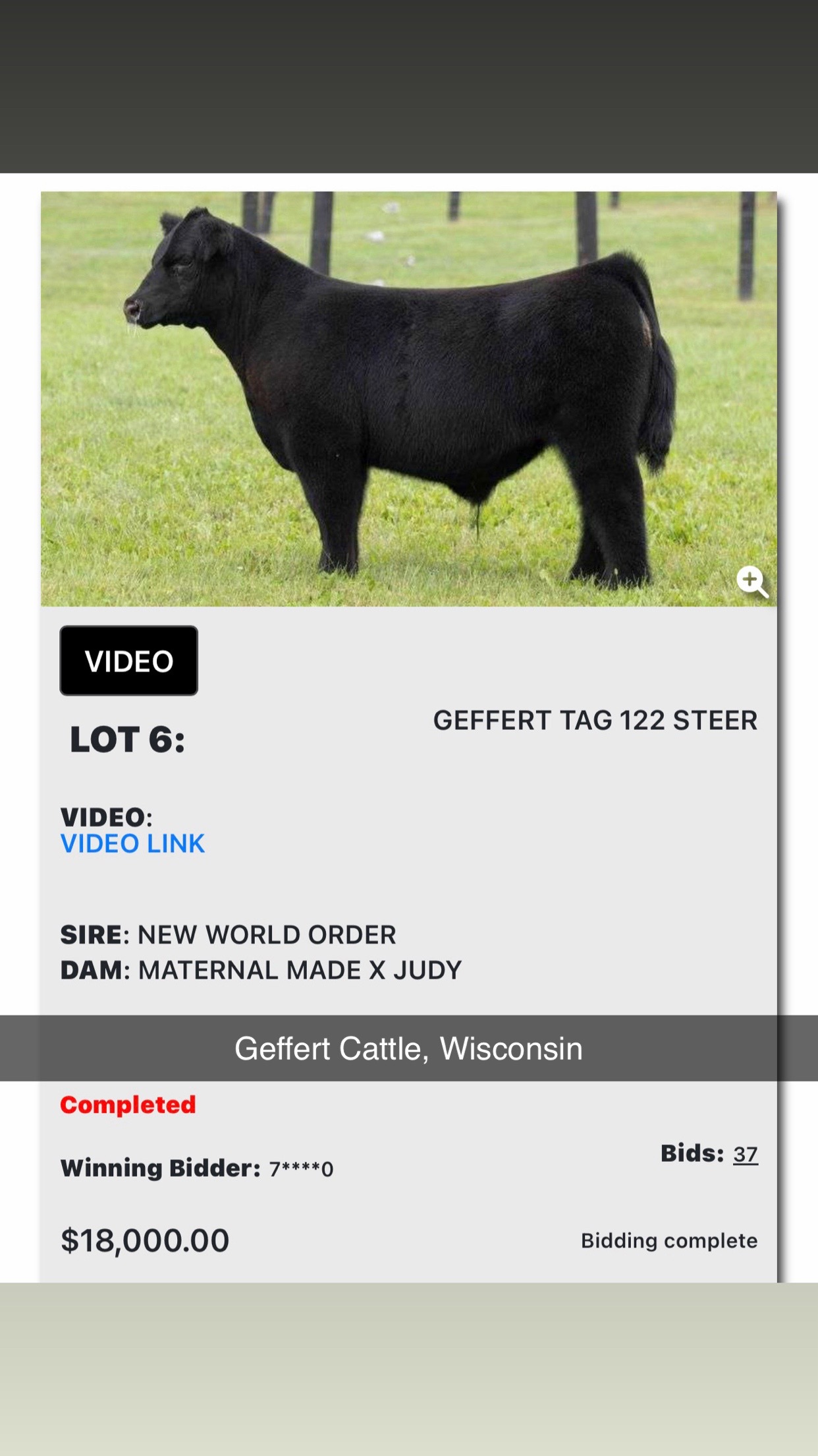 @Matt Lautner Cattle USA