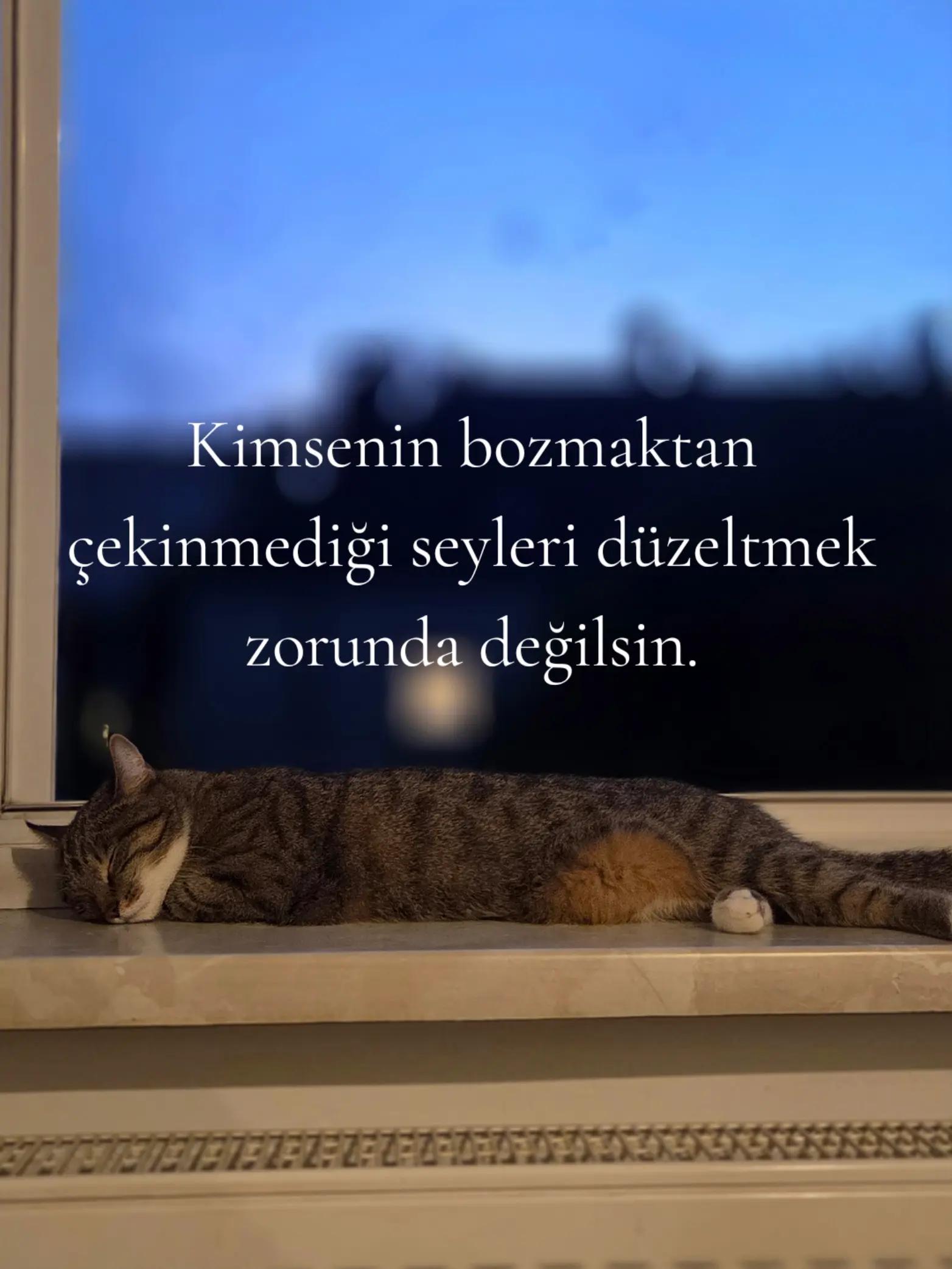 @🇹🇷͜͜͡͡✯𝘼𝙡𝙞 4️⃣6️⃣