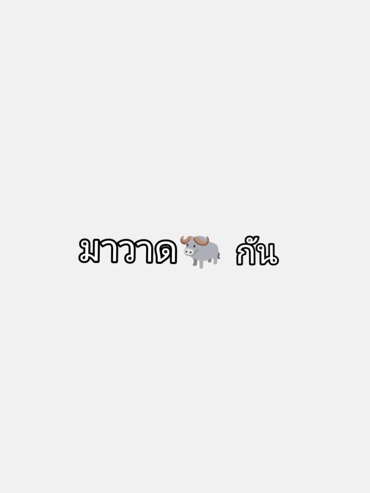@MEI (ᵔᴥᵔ)