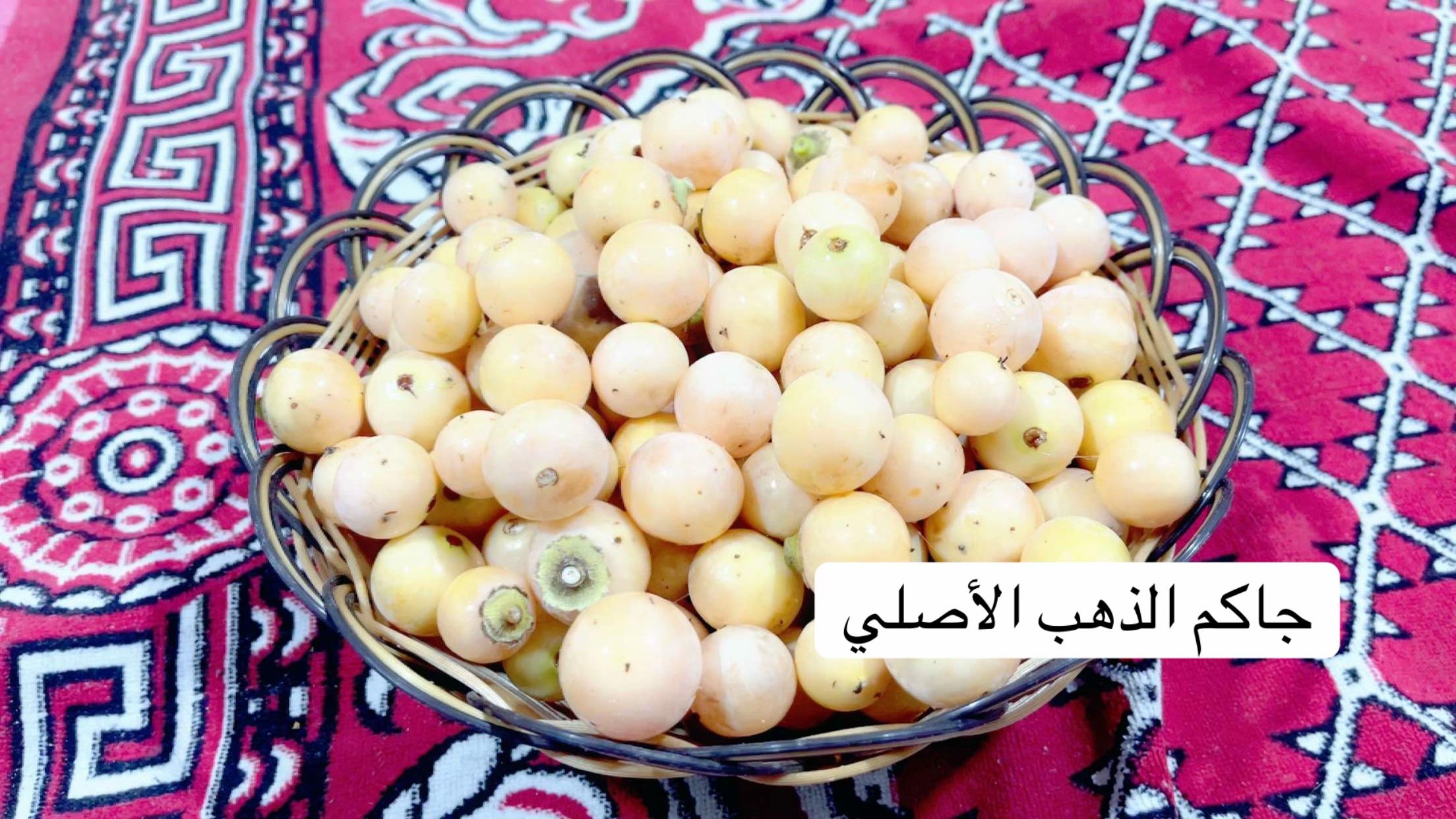 @ashkaltbiah