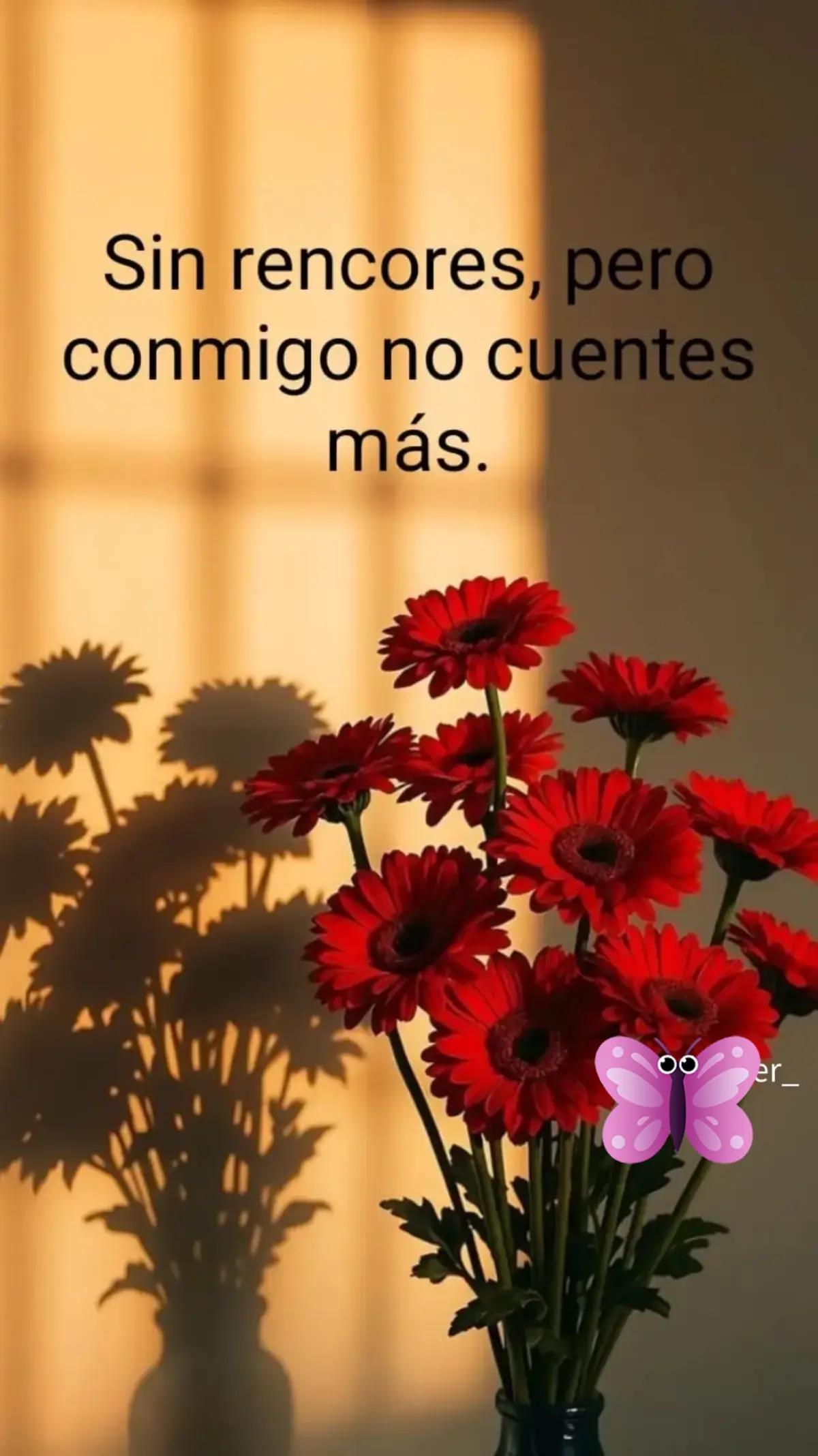 @rochy🌹🌹🌹