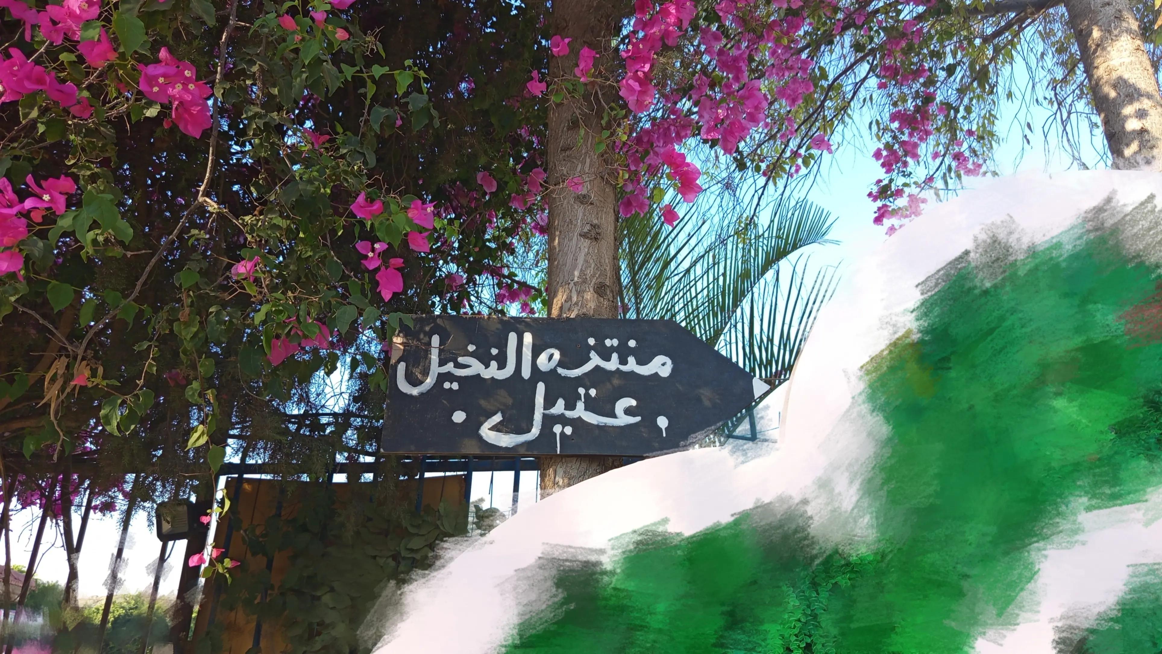 @𝖲ِ𝖤َ𝖫ِ𝖤َ𝖤َ𝖭َ🦢.