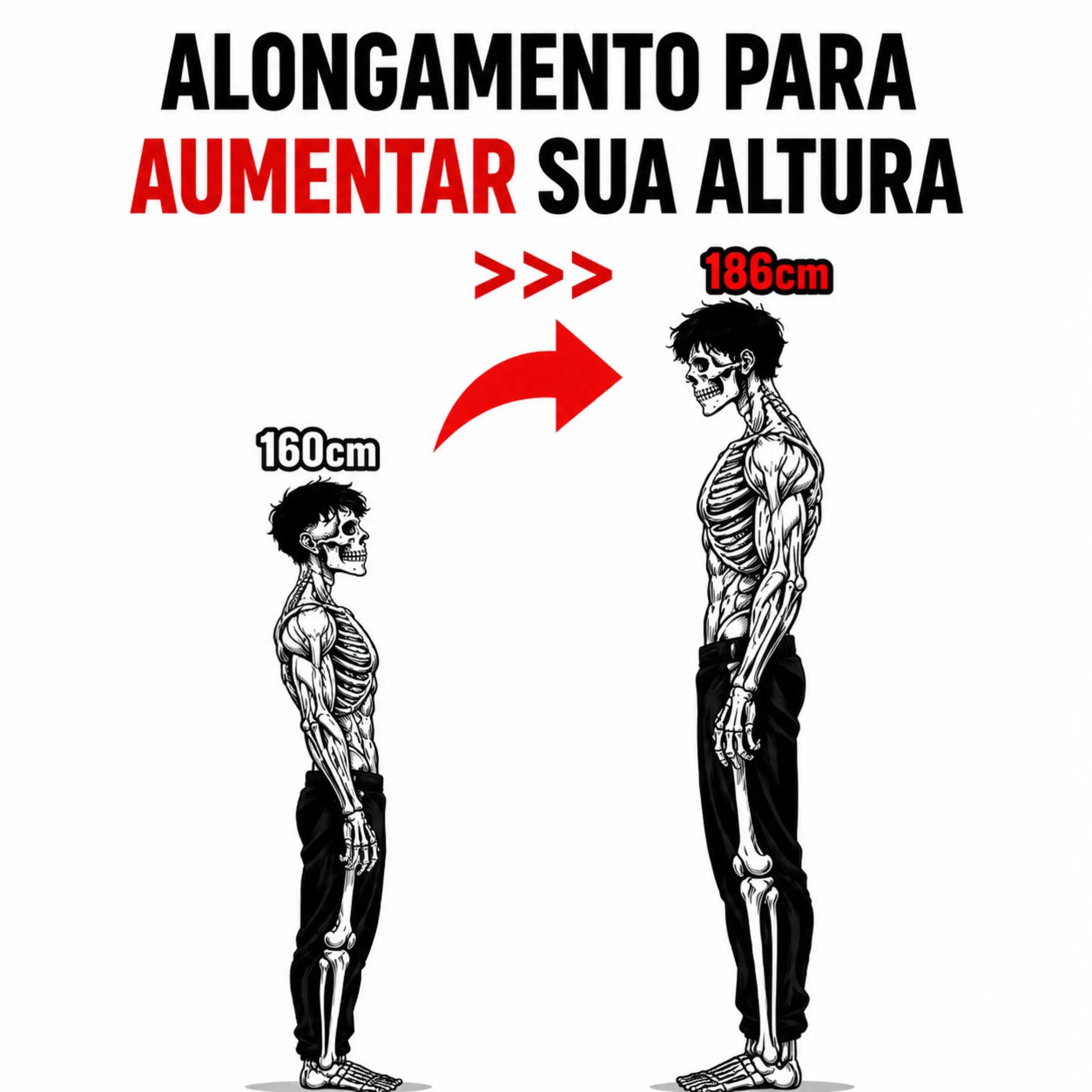 @metodo.gh_