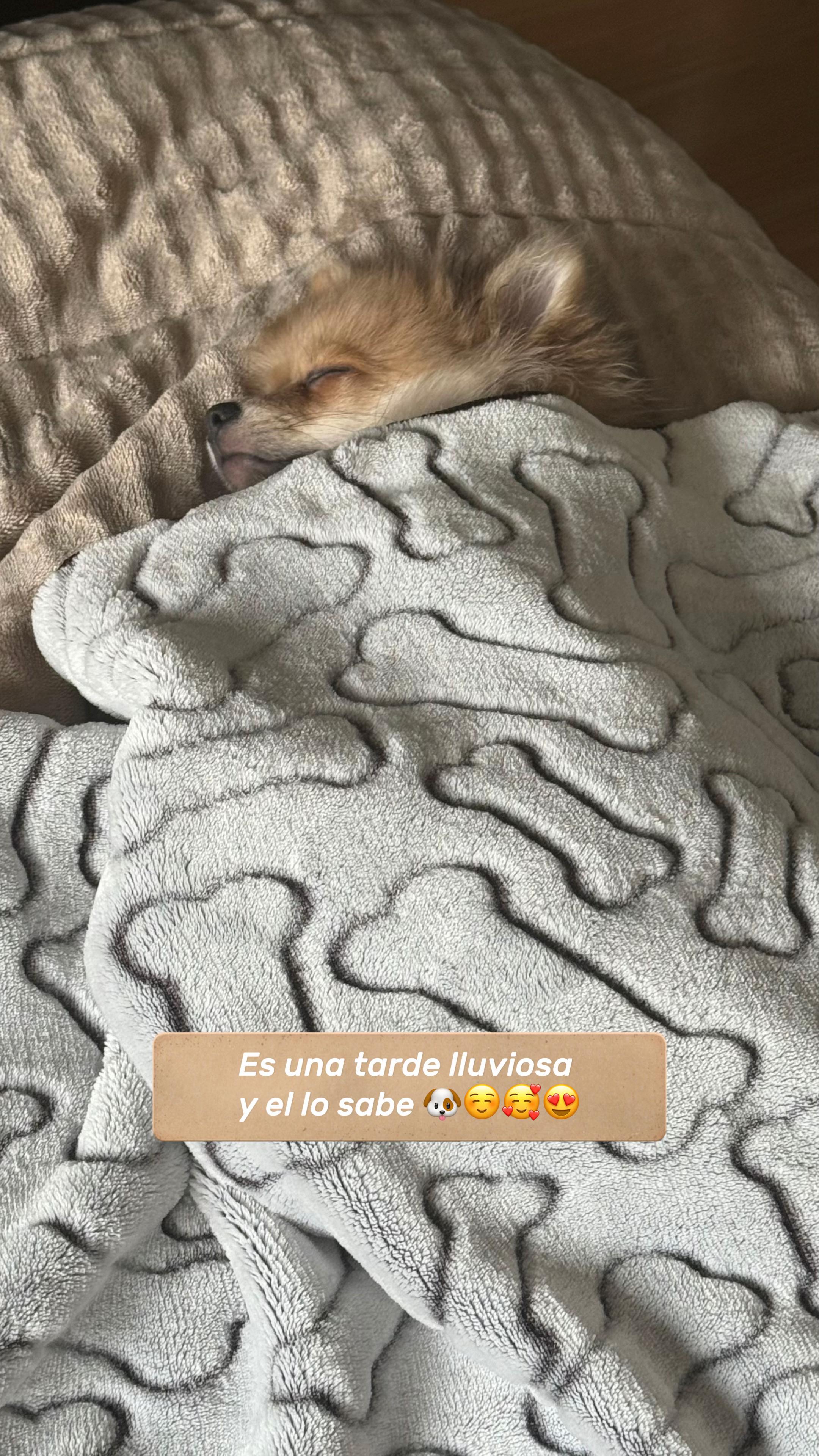 @Ang&eacute;lica Mar&iacute;a S&aacute;nchez