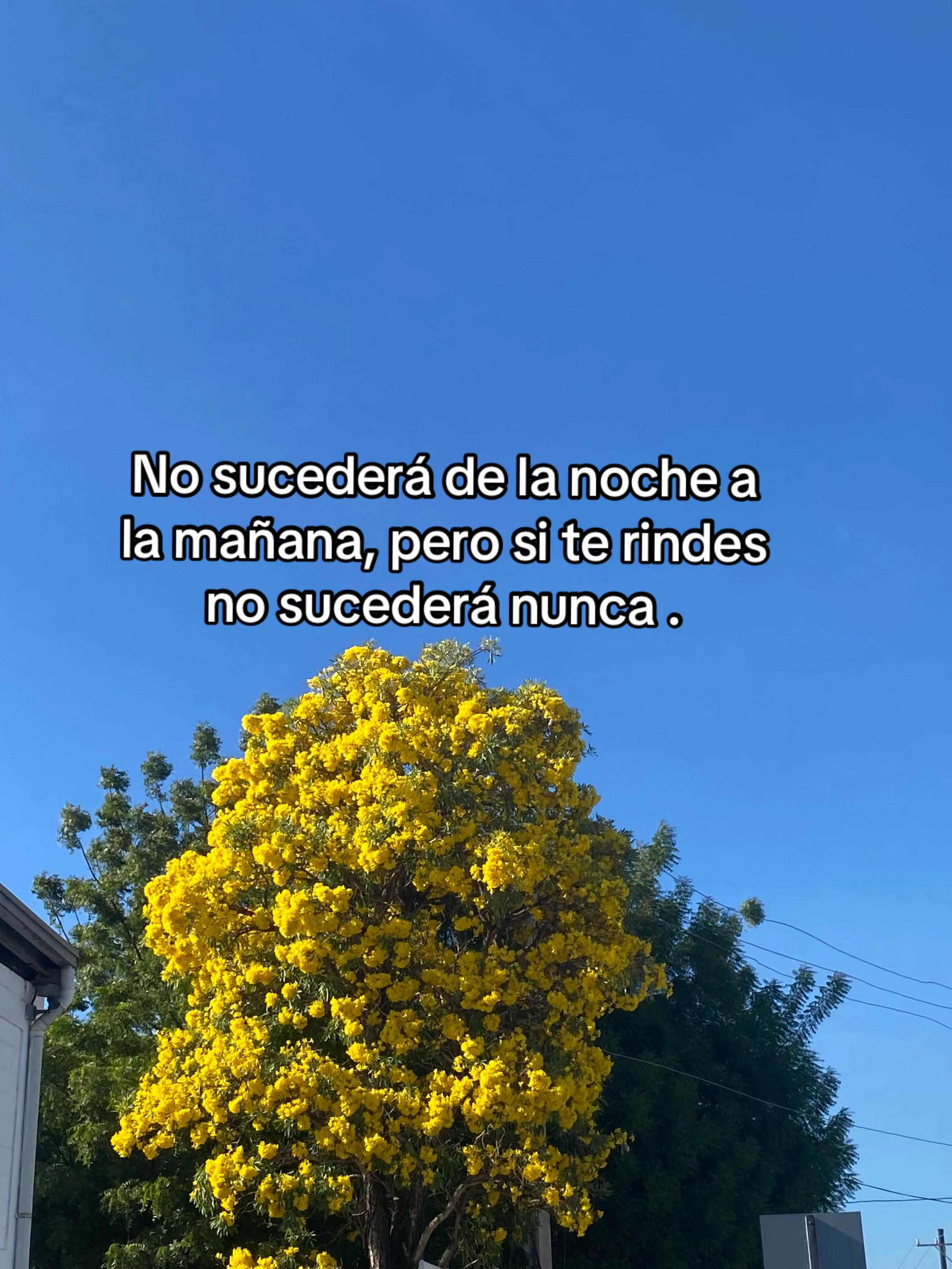 @Maria Ramos