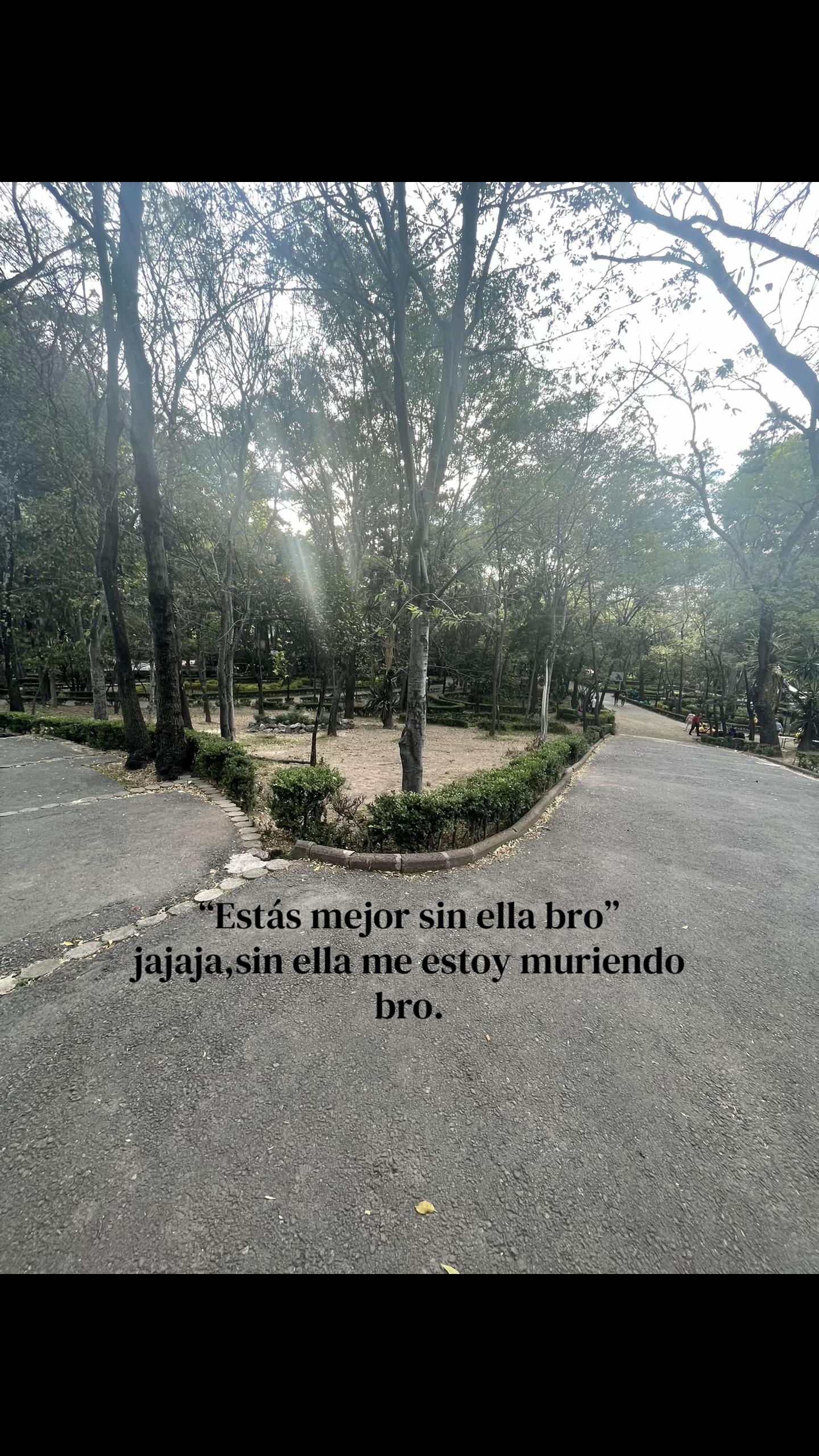 @regresaporfavor