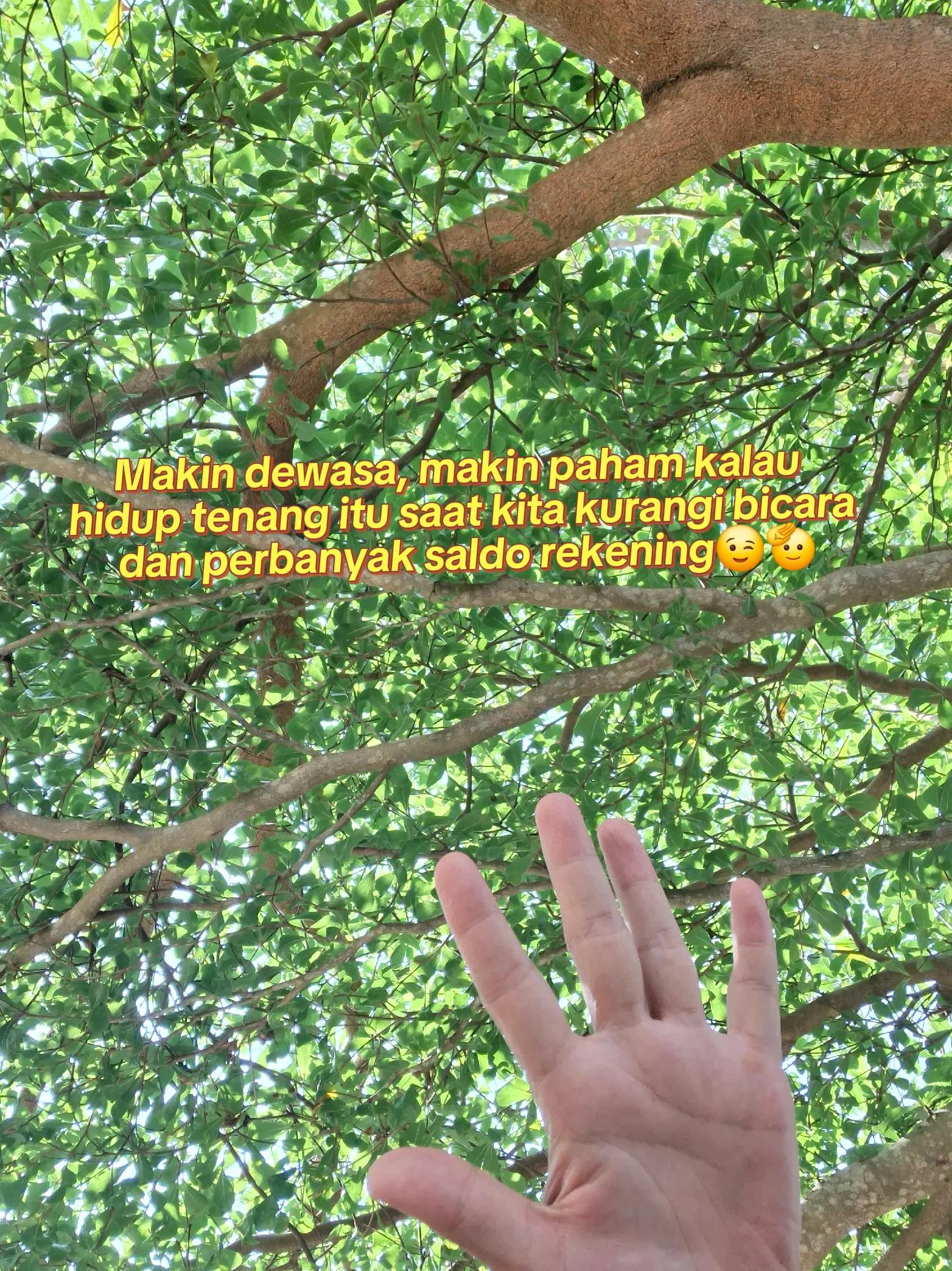 @Surya Herlina🦋