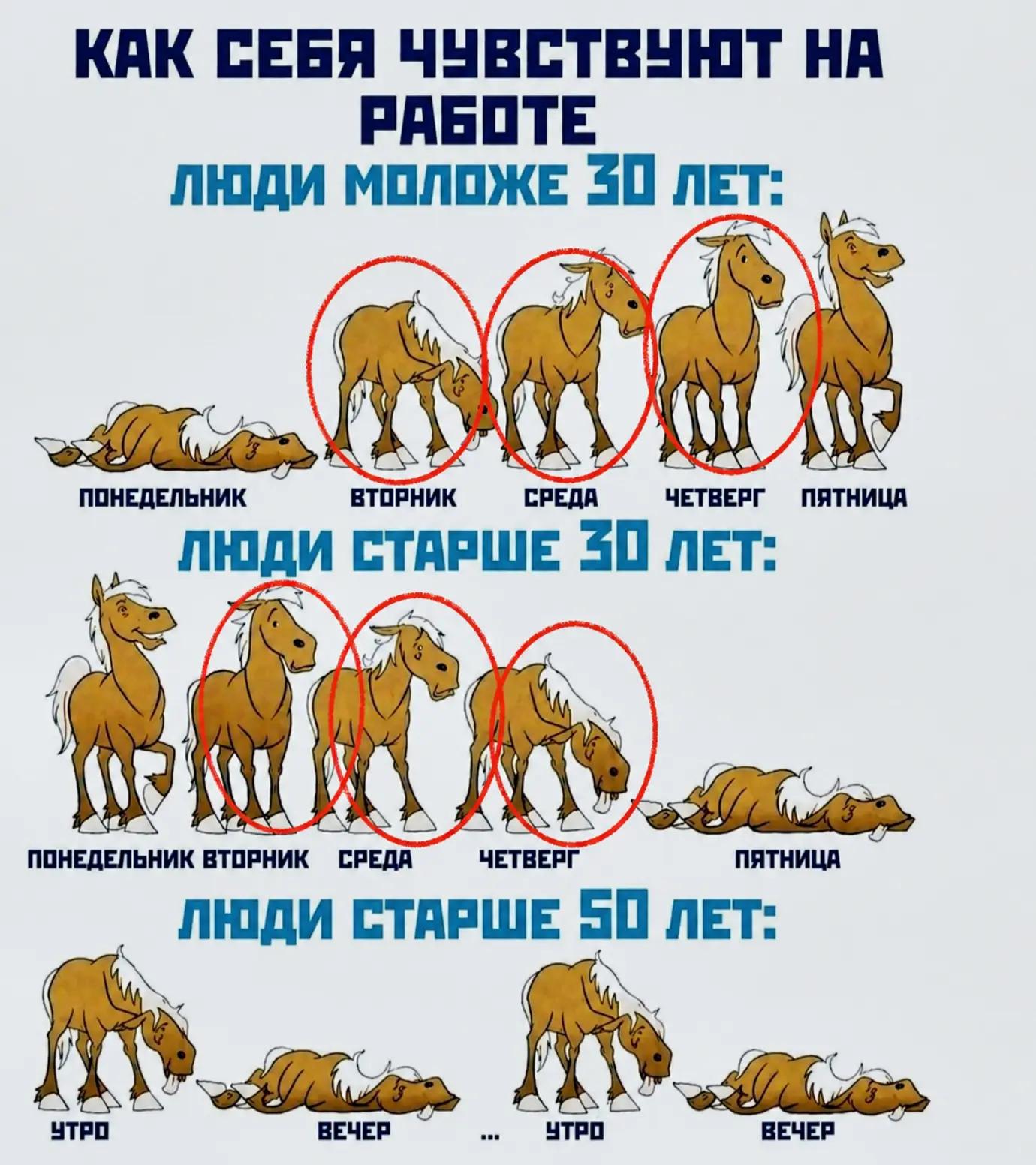 @ЕленаУтро