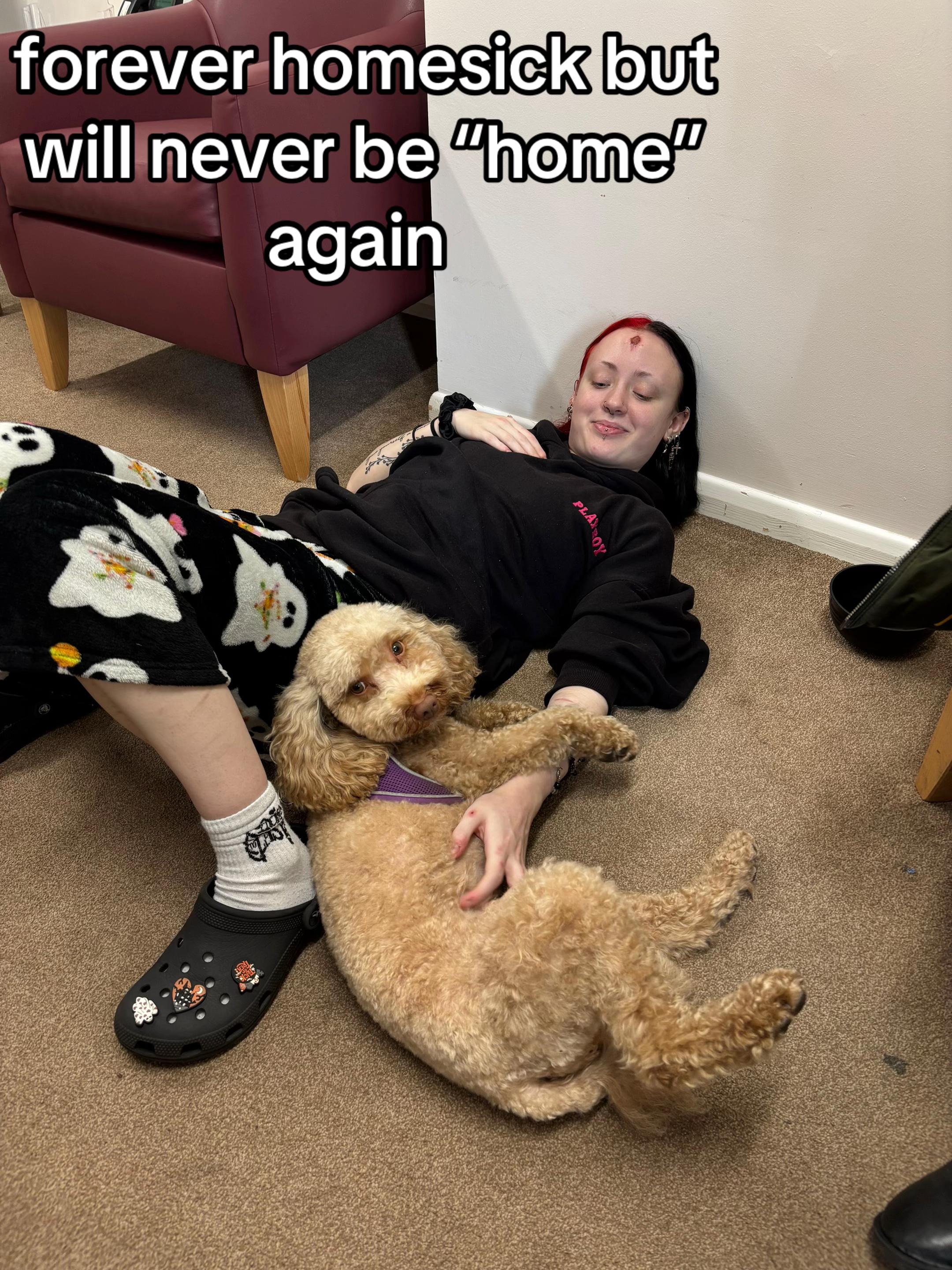@katieseupdrecovery