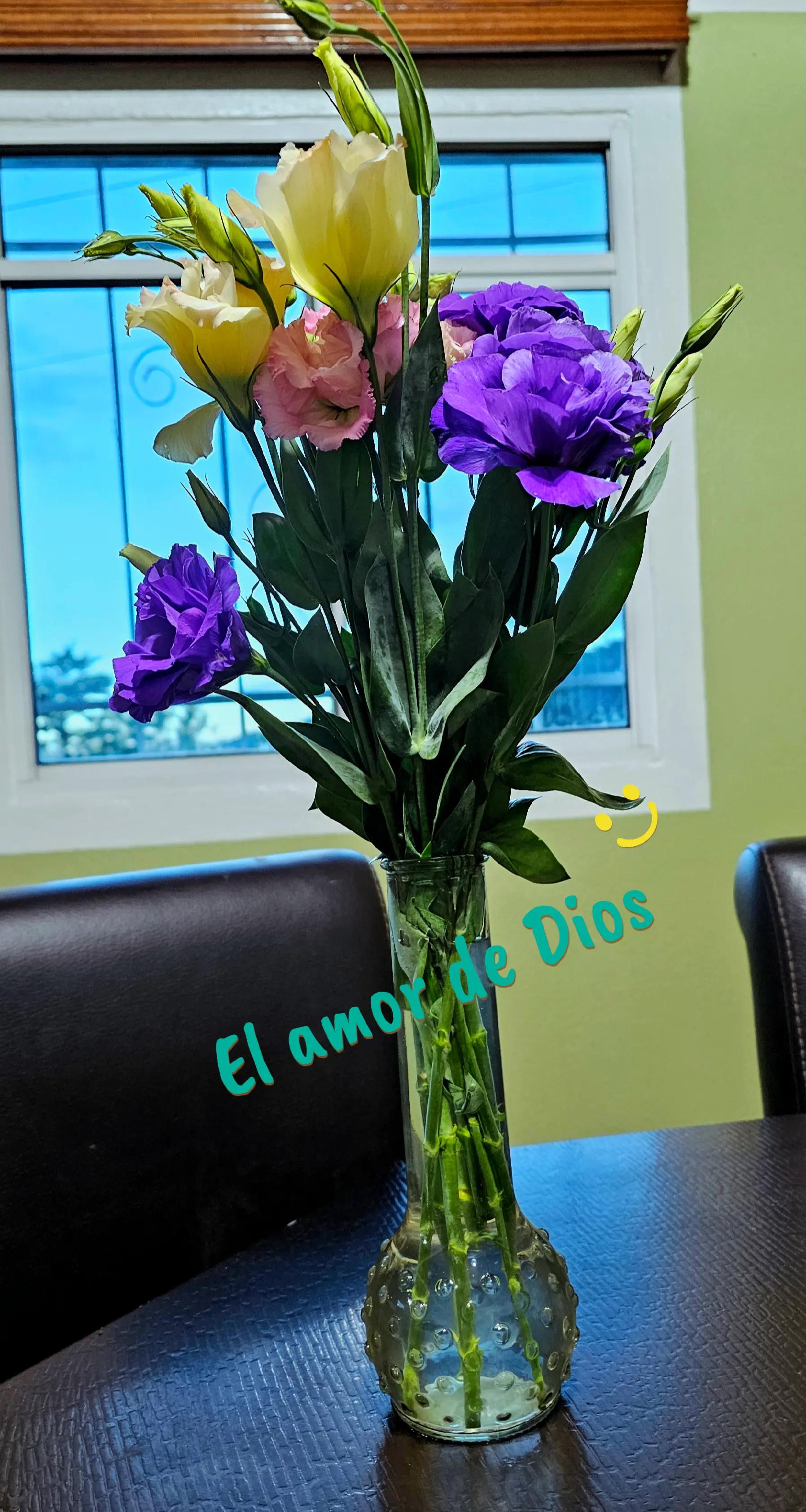 @Típicos Claudia Francisco