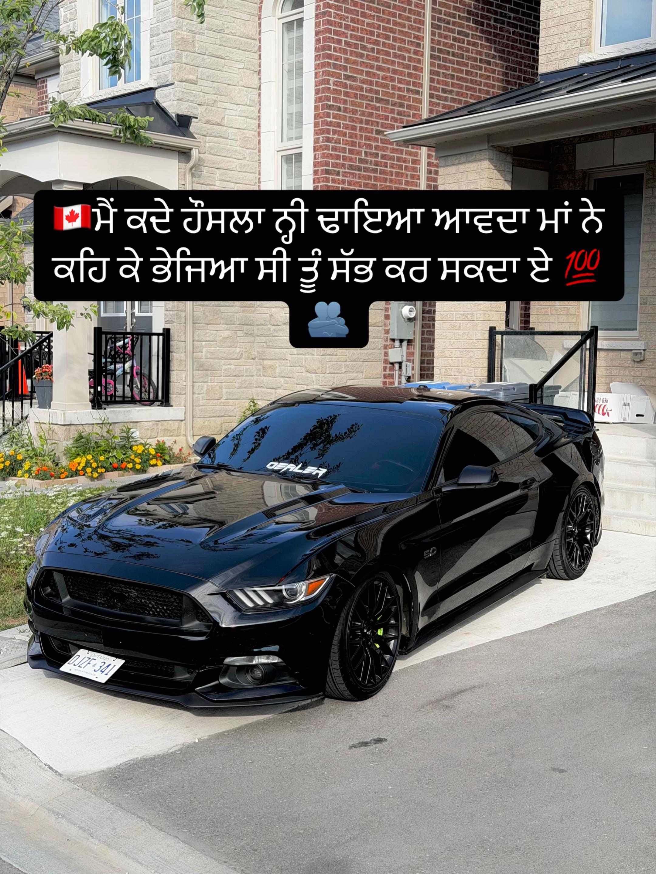 @vehlijanta761