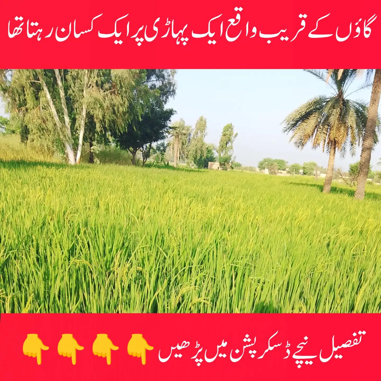 @islamicstories