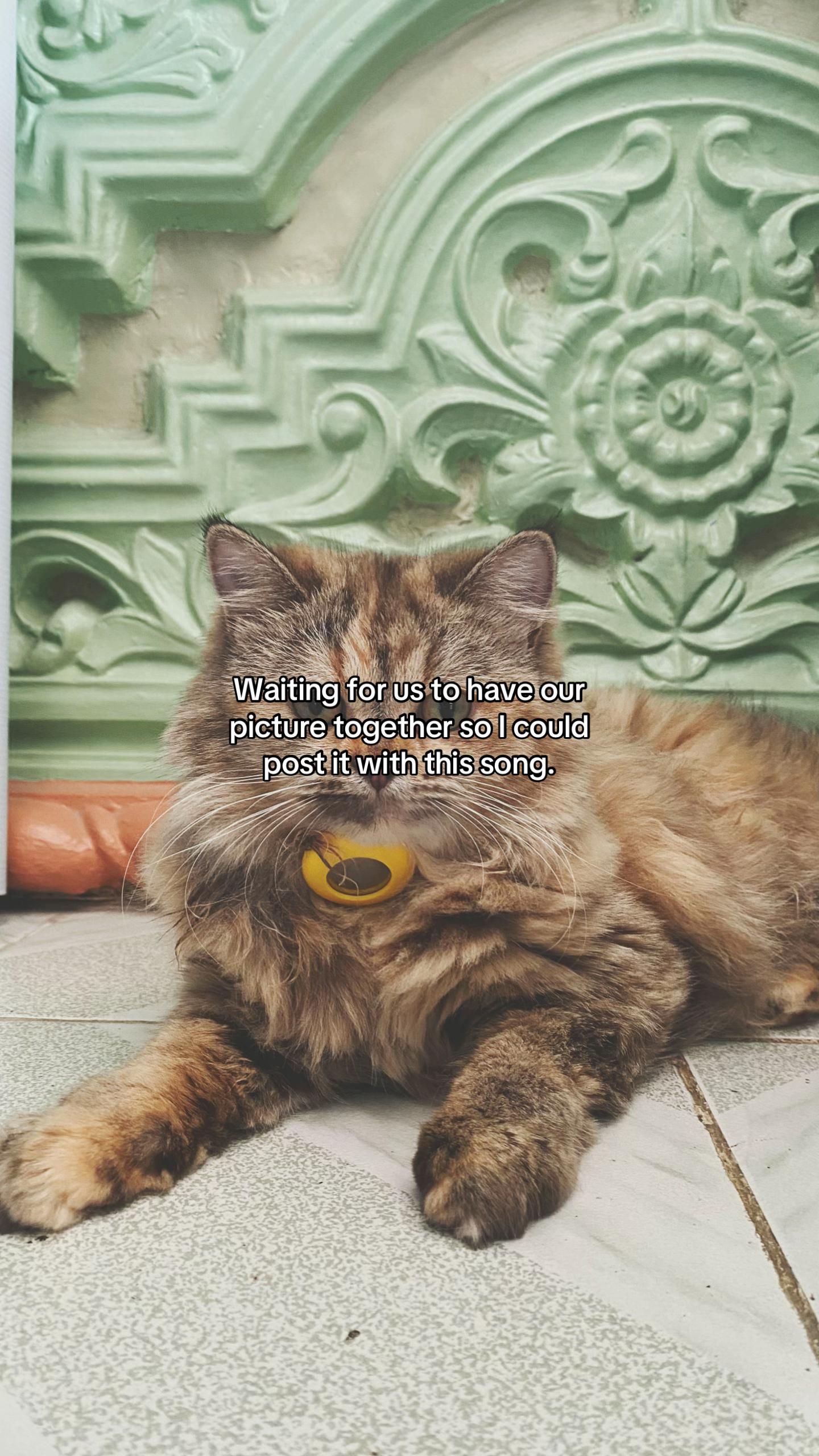 @Cel