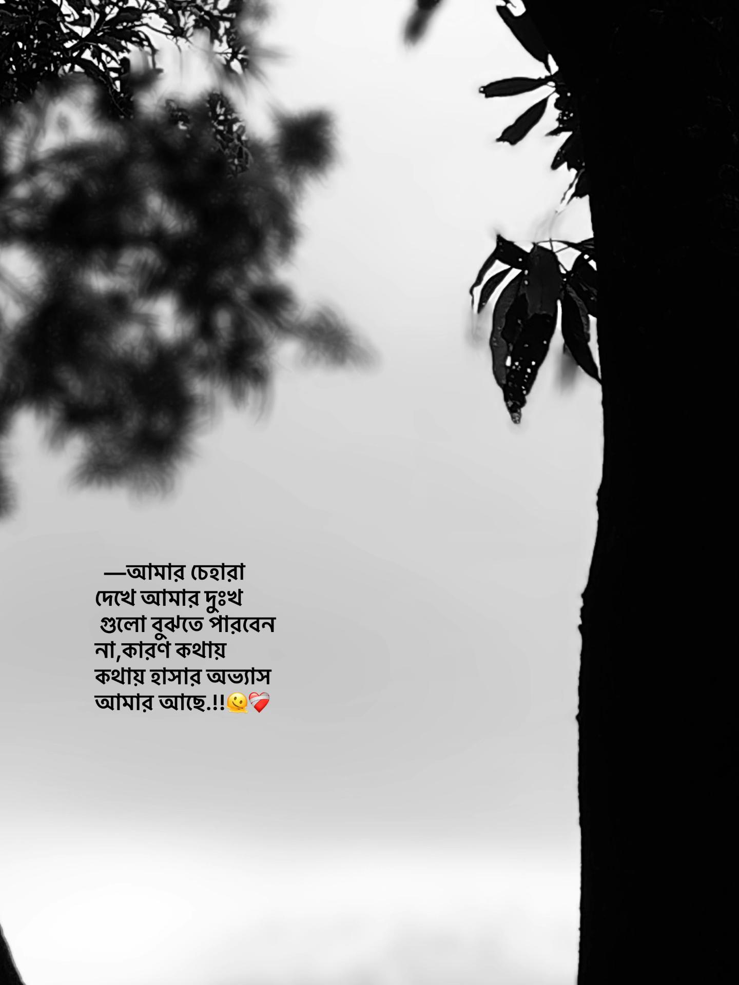 @⏳𝐒𝐡𝐚𝐝𝐨𝐰𝐗𝐞𝐧_ 🚩