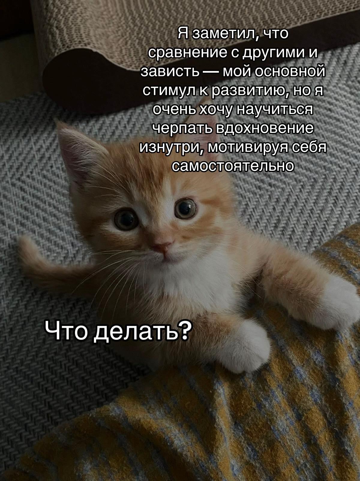 @тгк: психология с марго