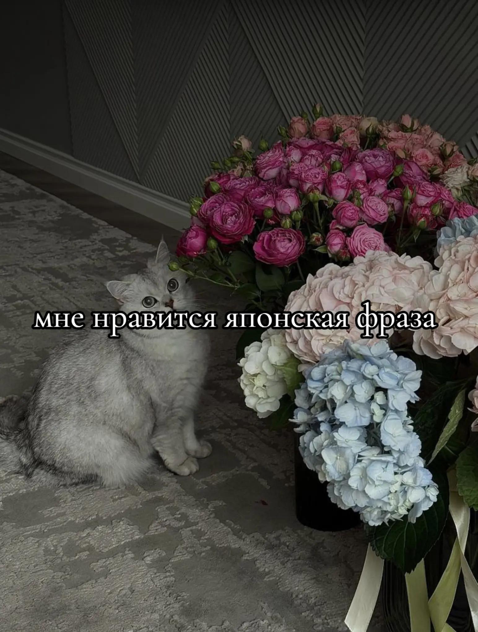 @здесь грустно