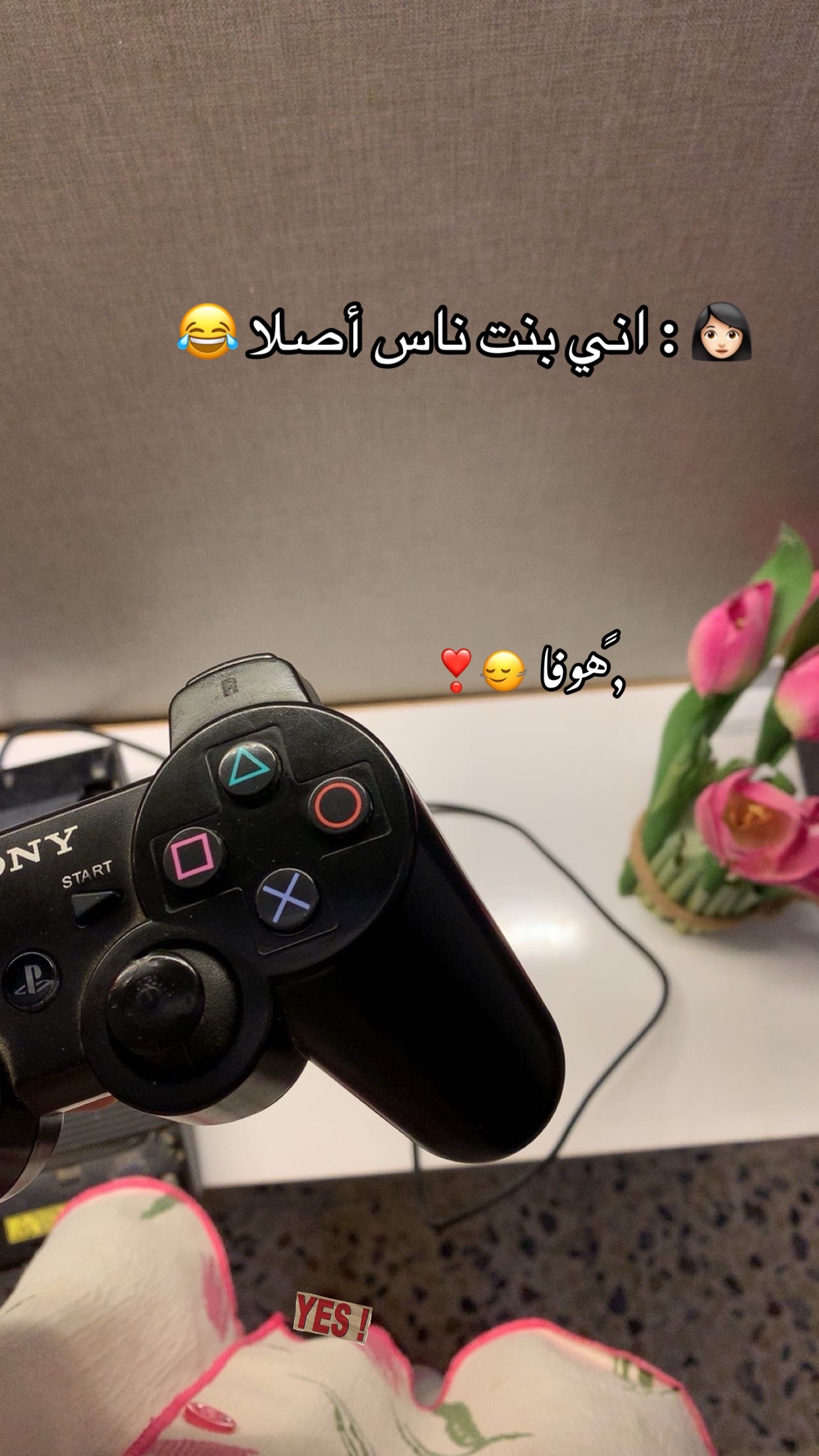 @﮼هوفا 𐙚❣️
