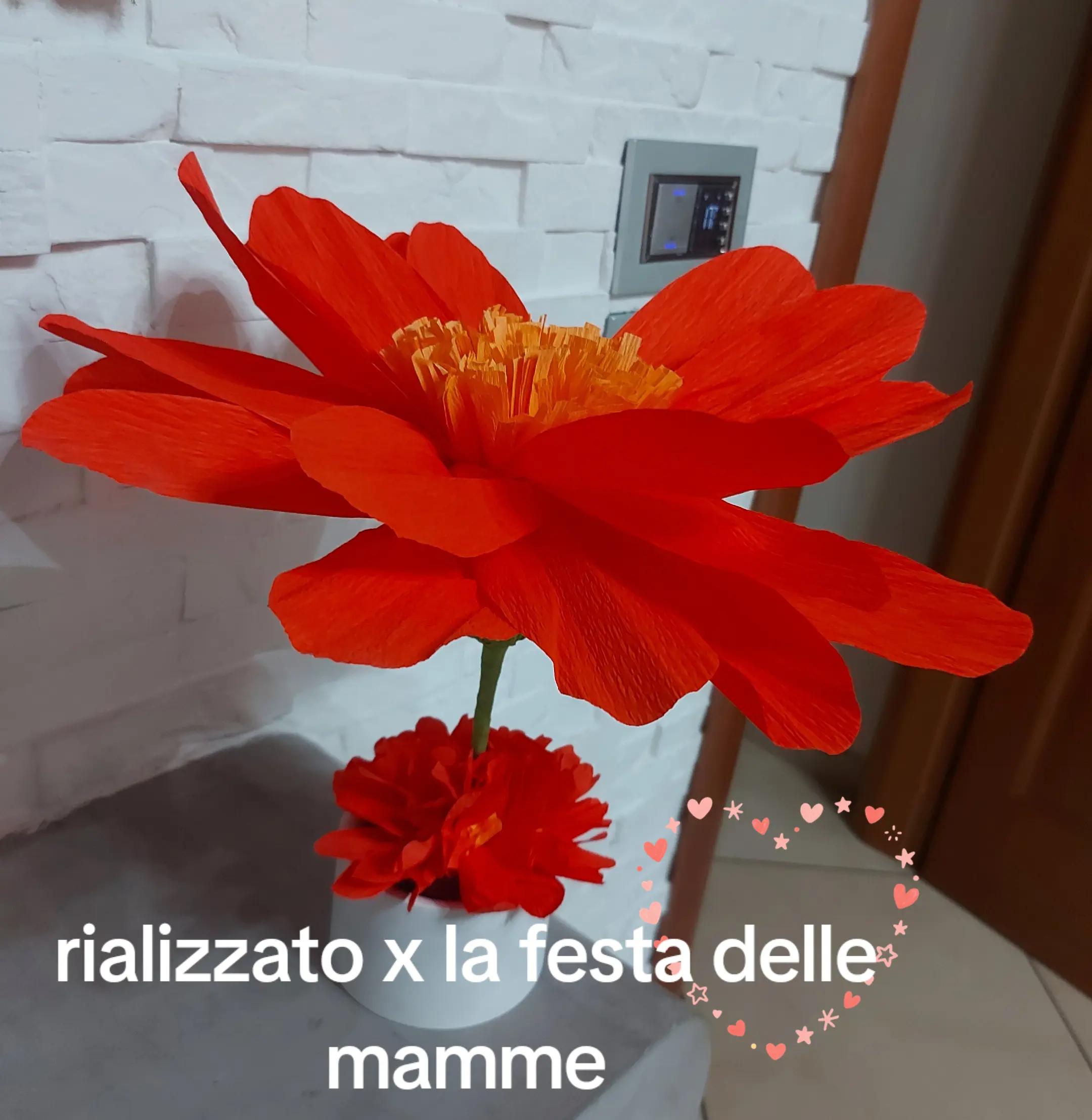 @Luigi Luongo