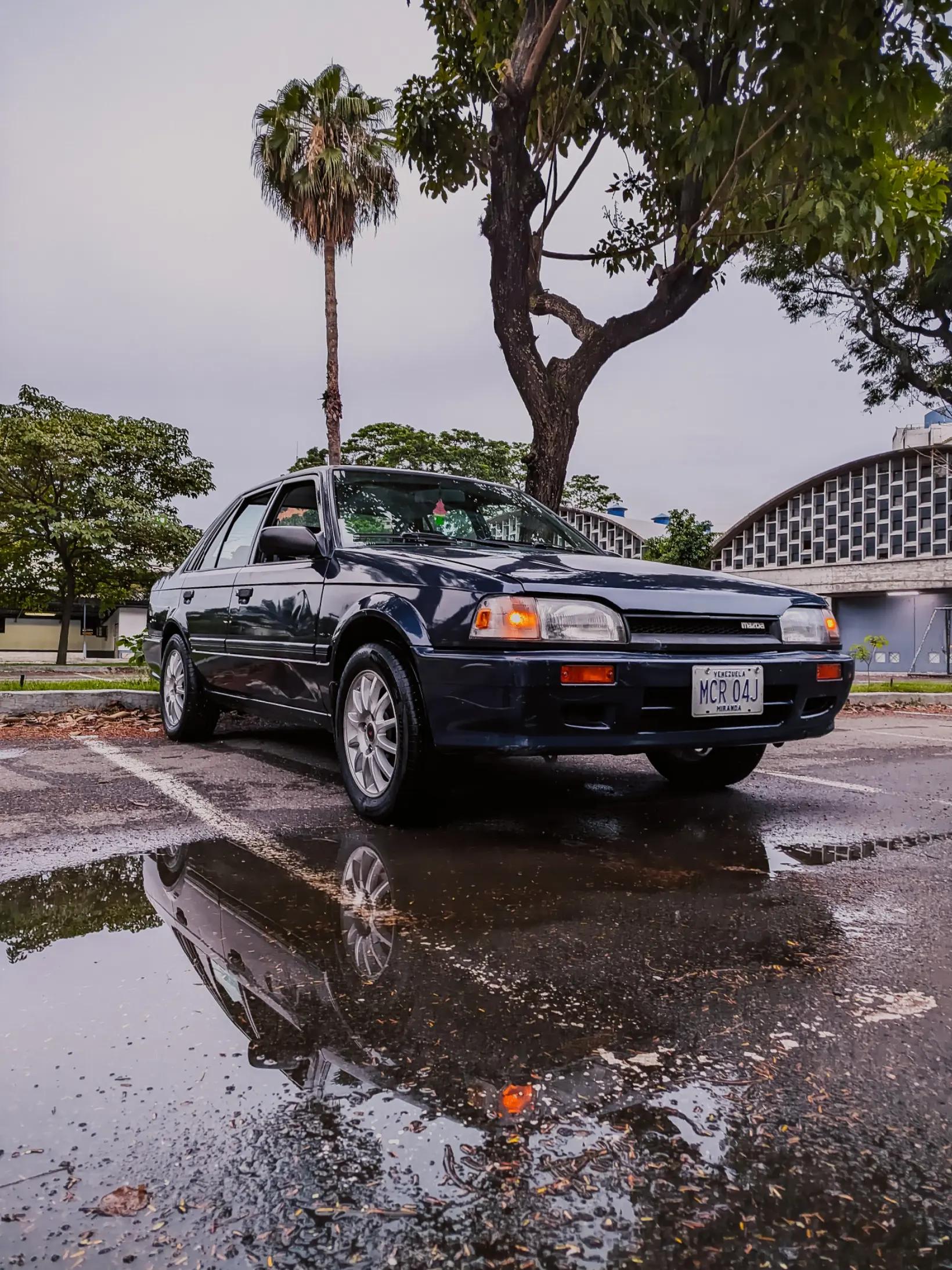 @Paradise Cars