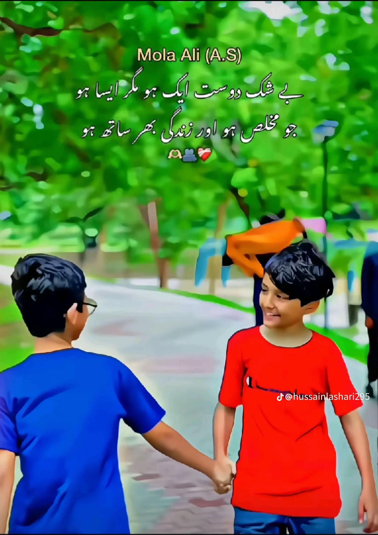 @Shahzaib Ali
